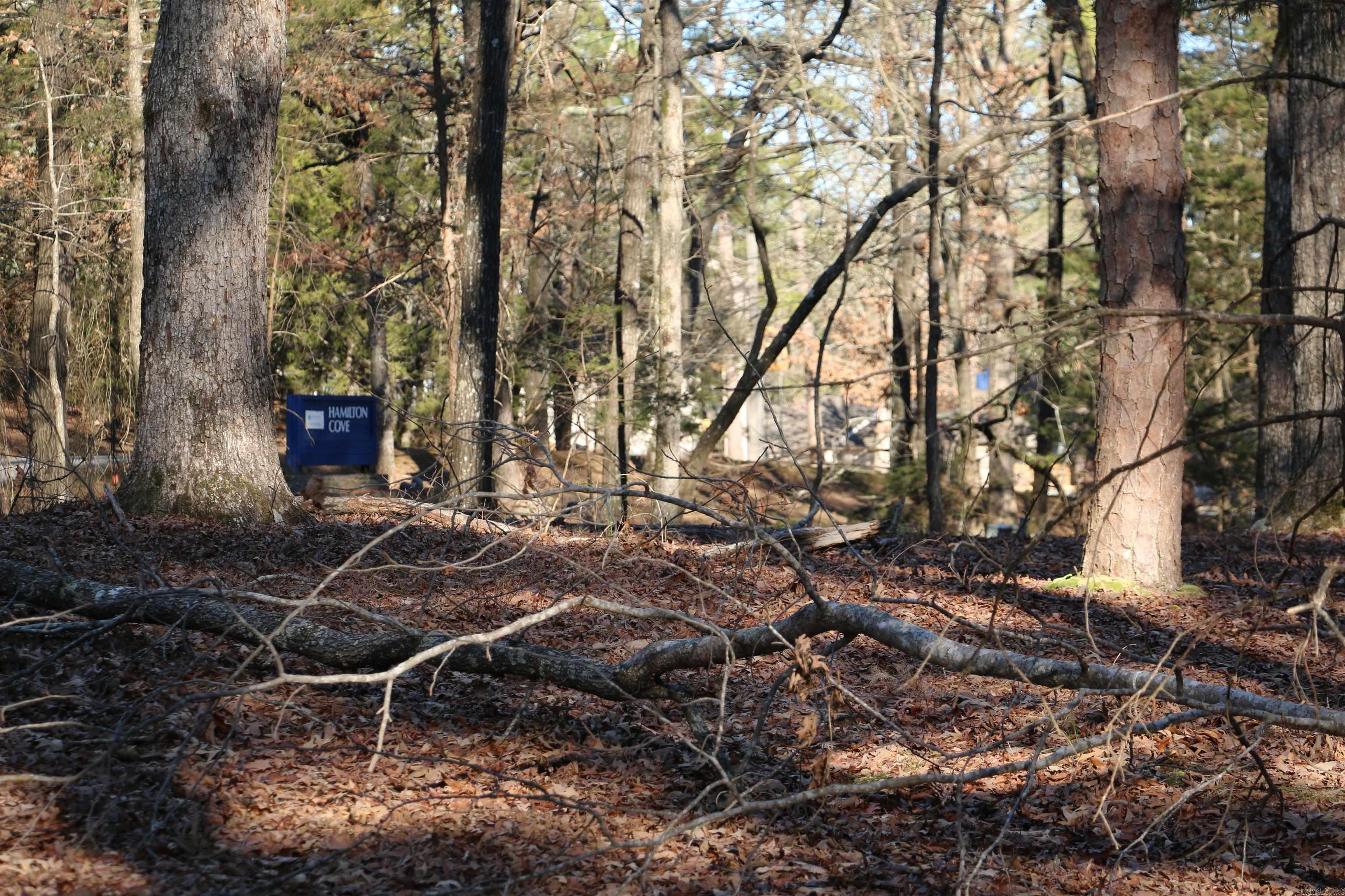 Lot 92 Dave Creek  Fairfield Bay, AR