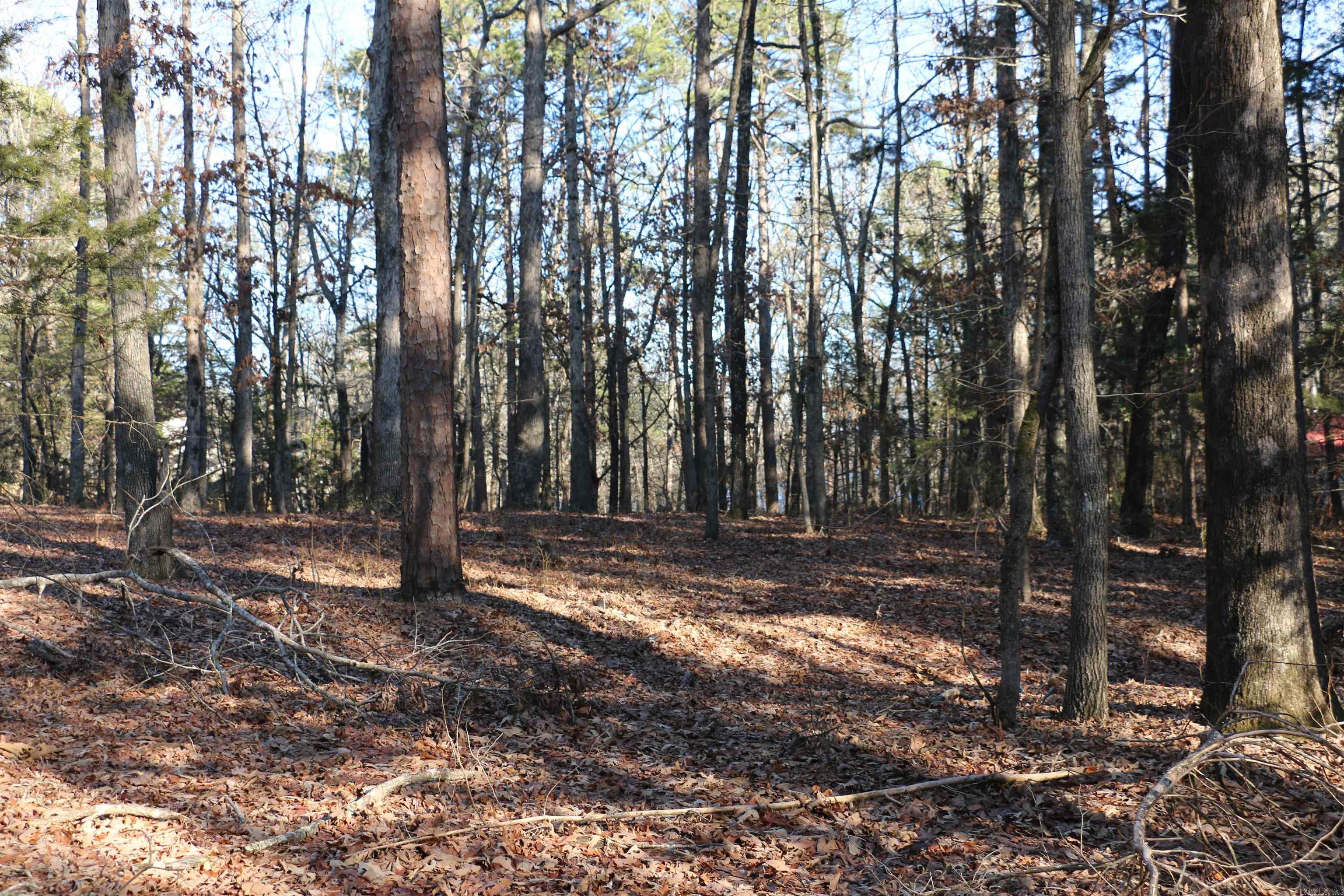 Lot 92 Dave Creek  Fairfield Bay, AR