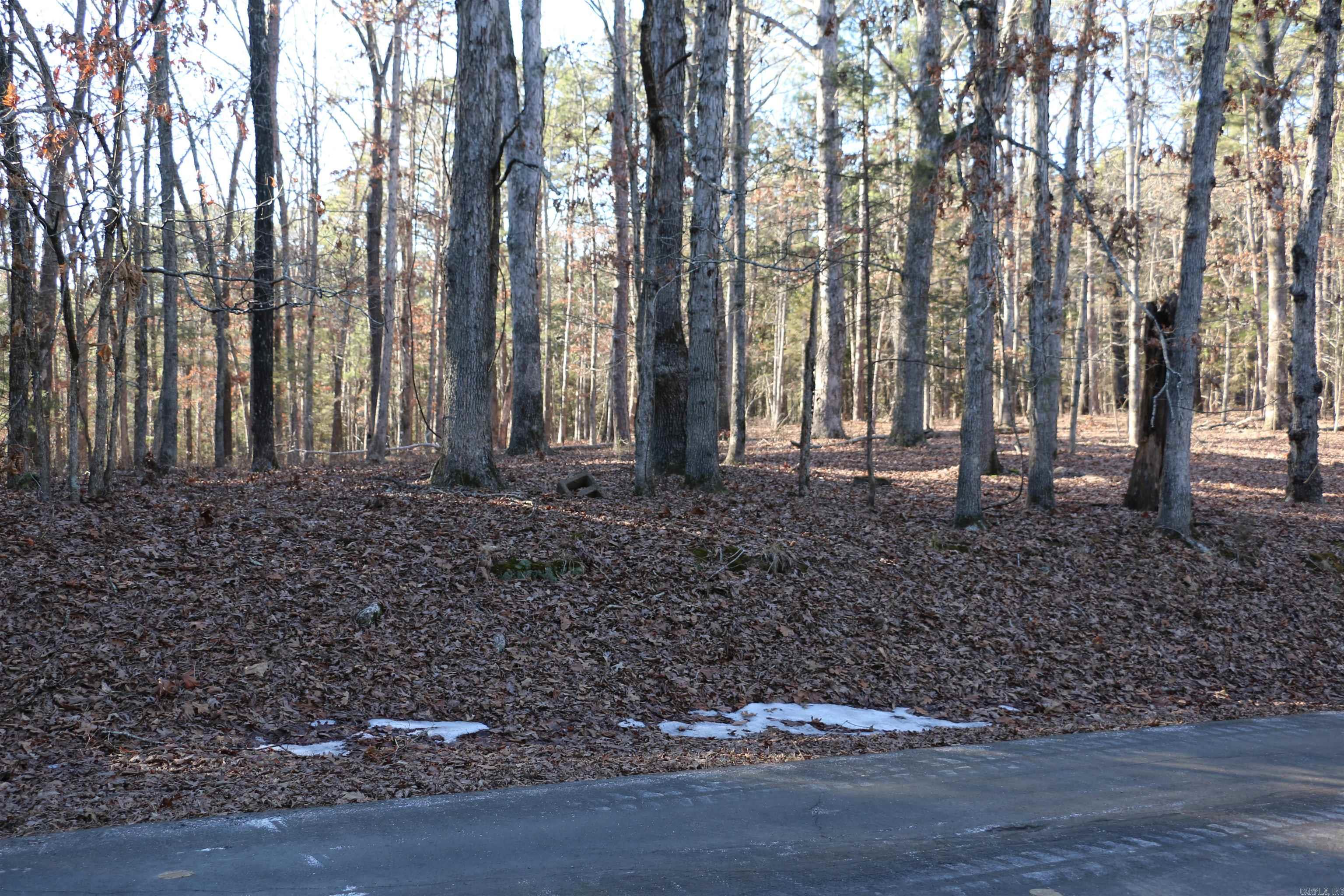 Lot 92 Dave Creek  Fairfield Bay, AR
