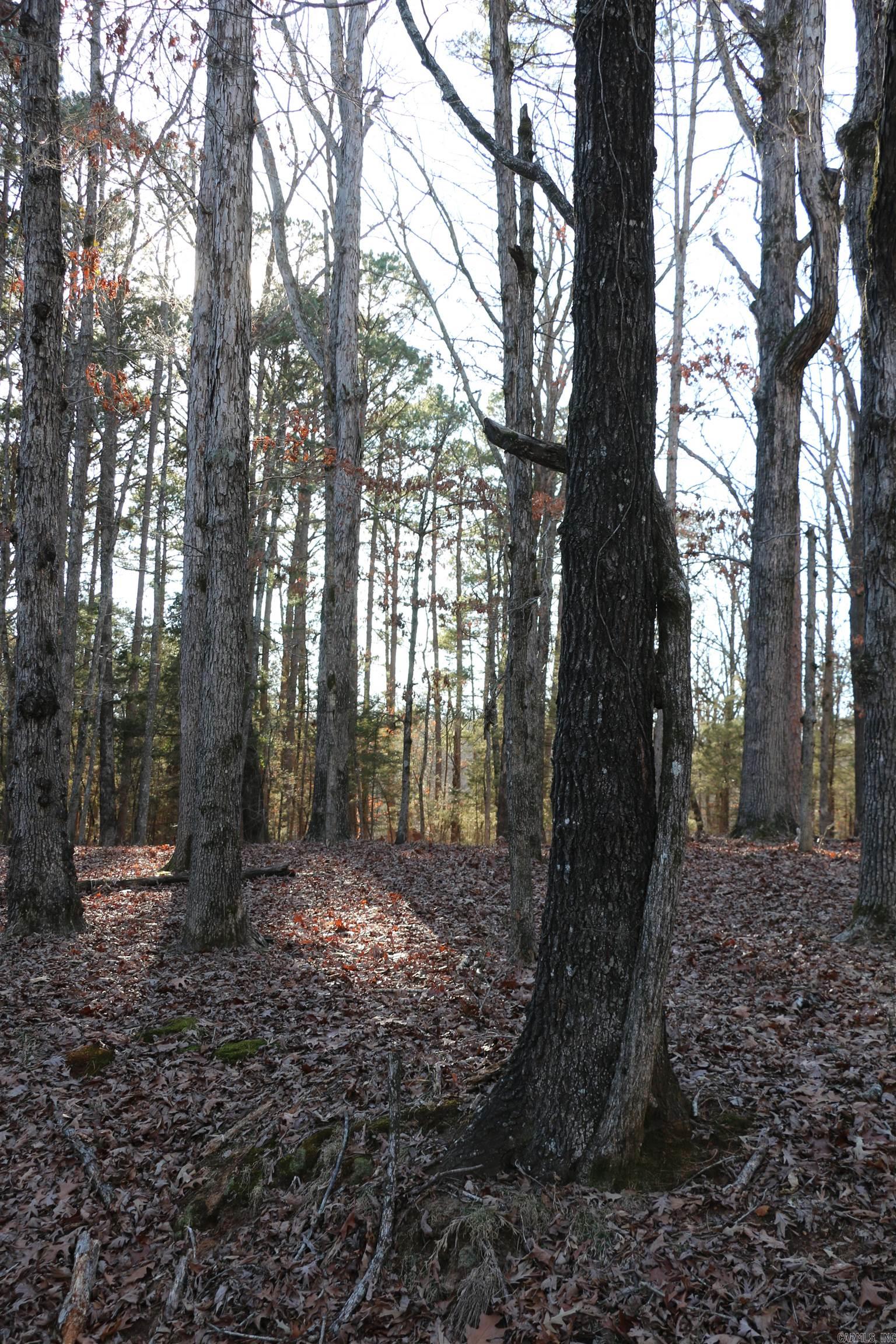 Lot 92 Dave Creek  Fairfield Bay, AR