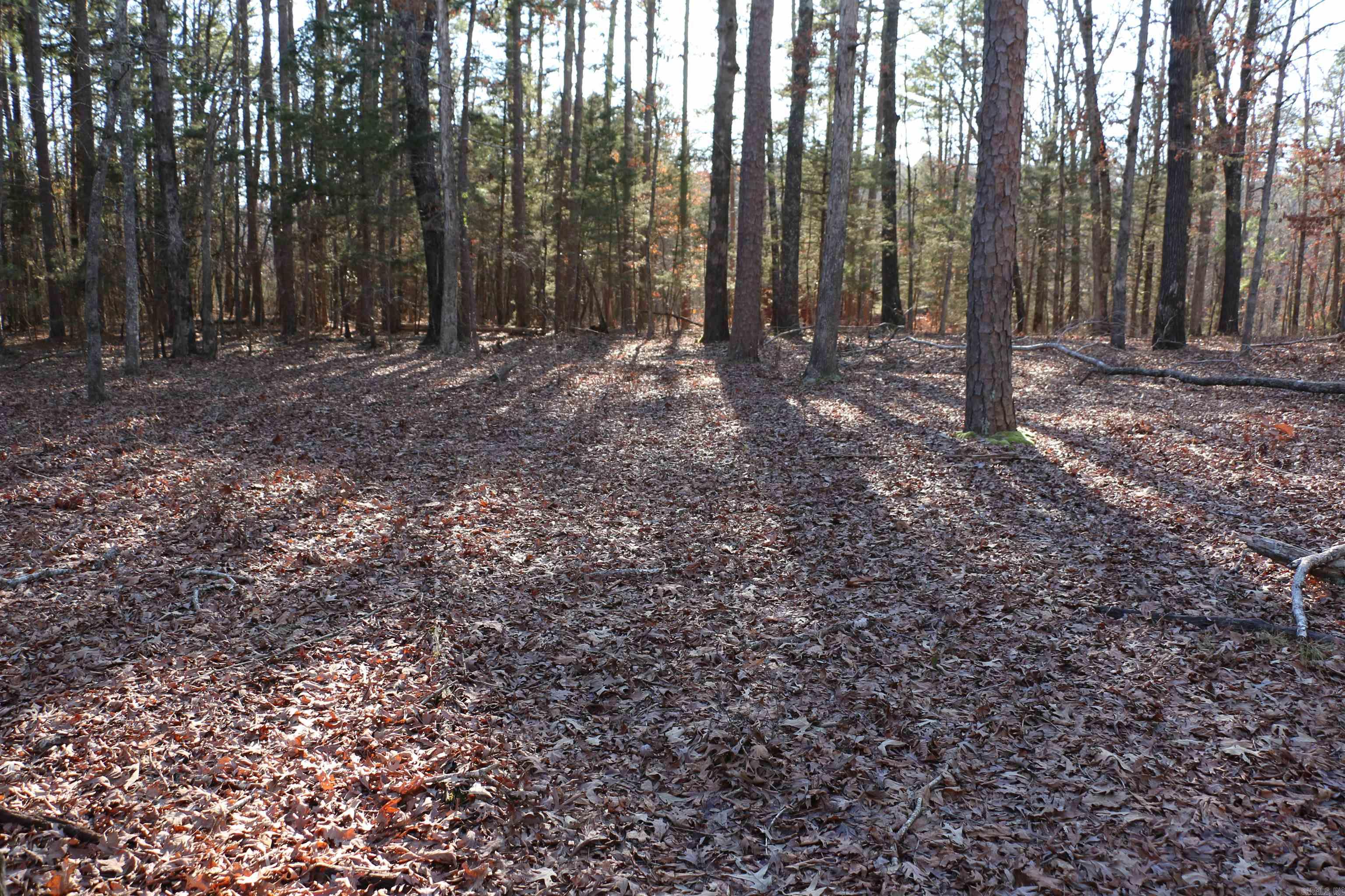 Lot 92 Dave Creek  Fairfield Bay, AR