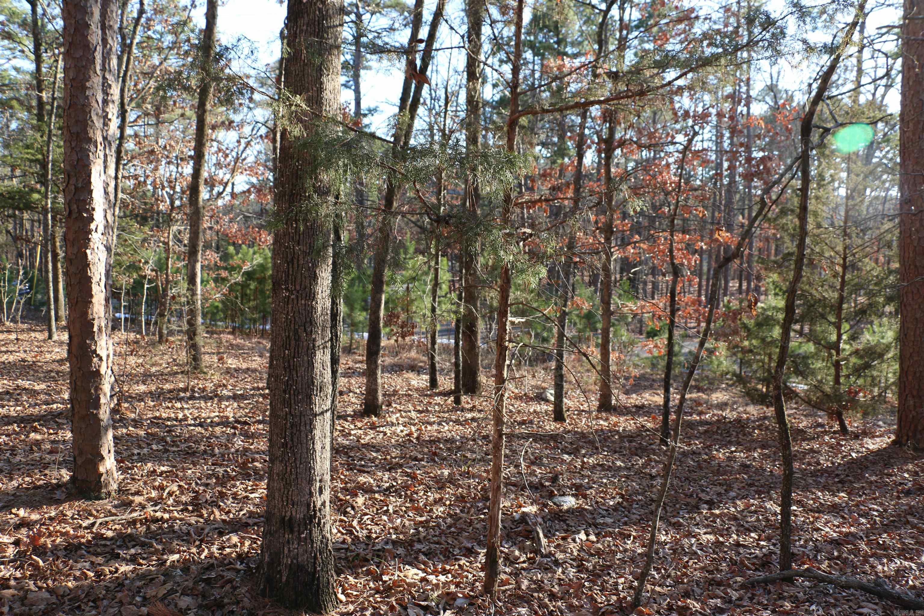Lot 80 Lynn Creek  Fairfield Bay, AR