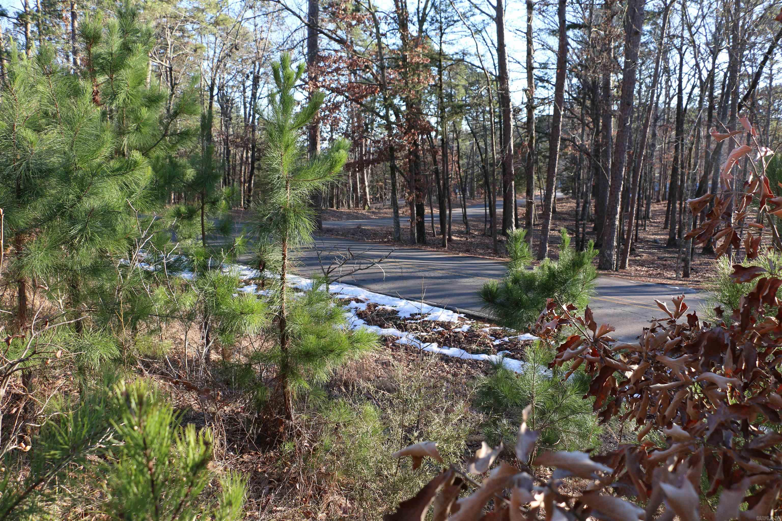 Lot 80 Lynn Creek  Fairfield Bay, AR