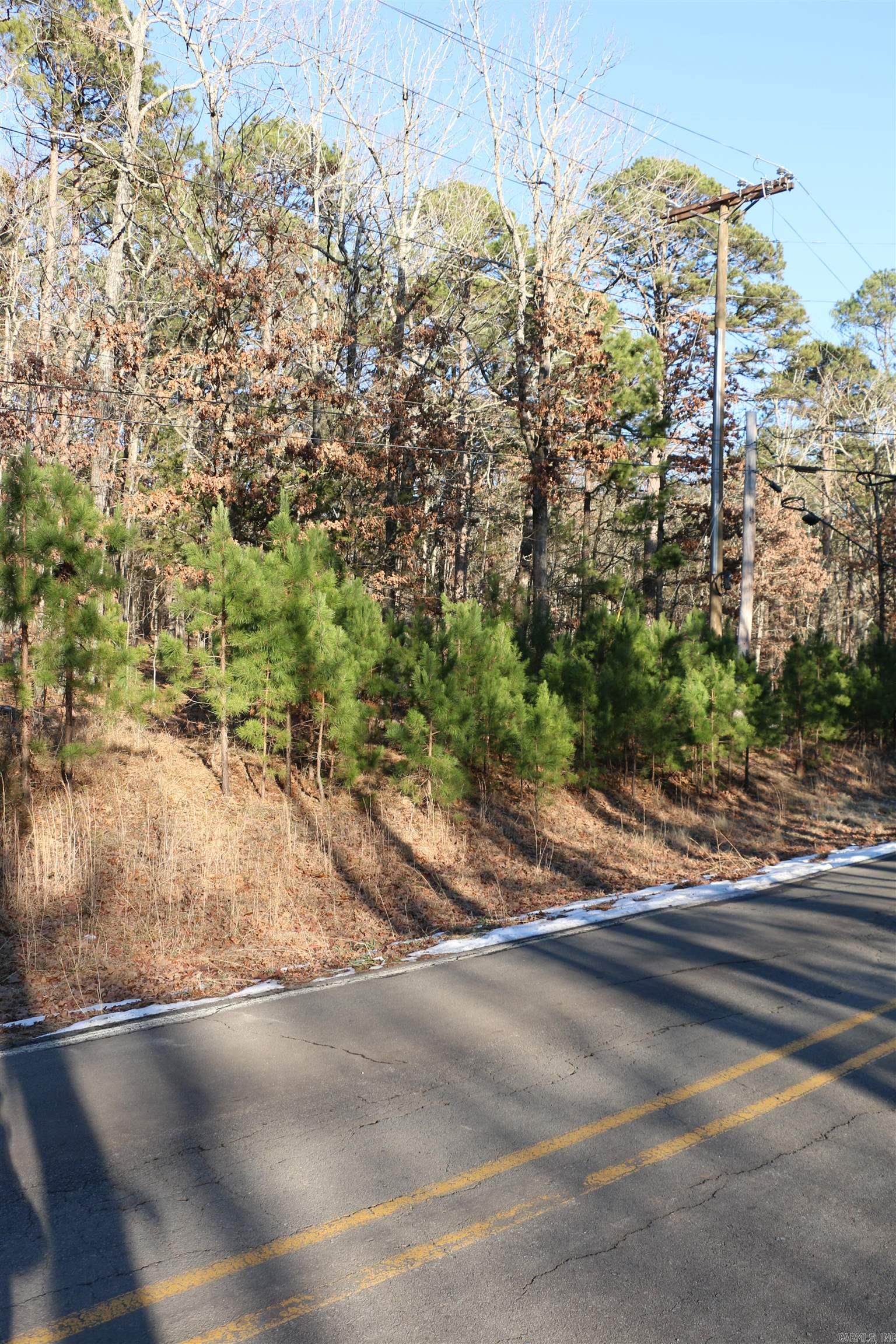 Lot 80 Lynn Creek  Fairfield Bay, AR