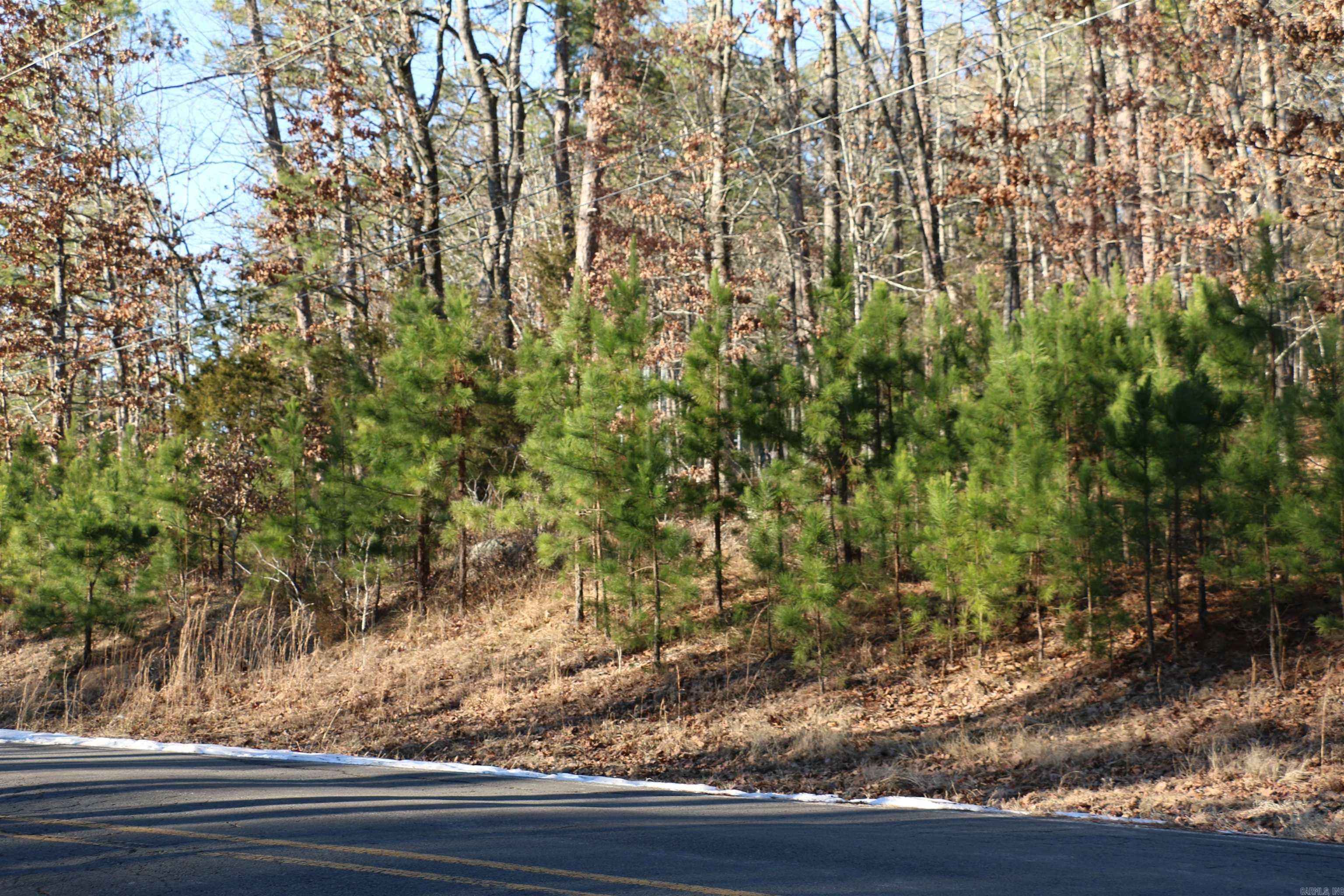 Lot 80 Lynn Creek  Fairfield Bay, AR