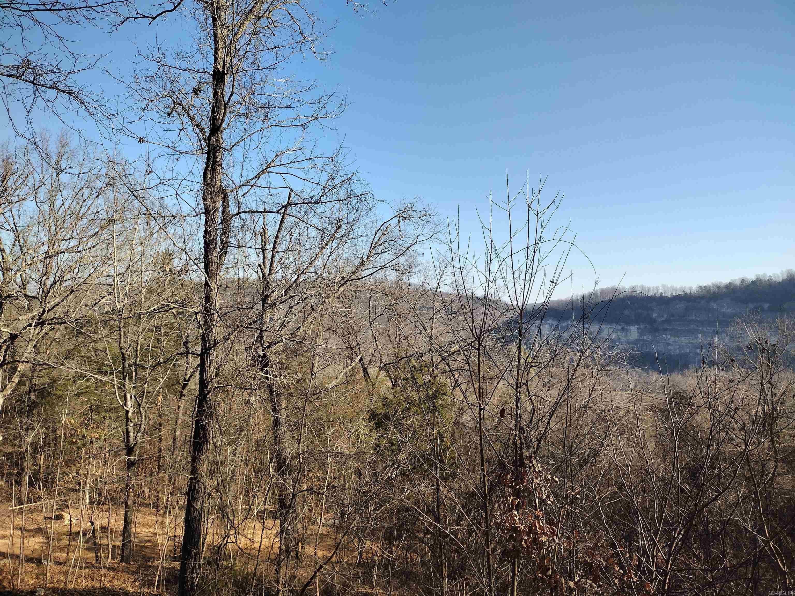 3365 Round Bottom RD  Mountain View, AR