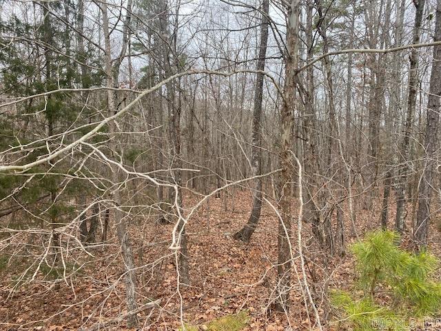 Lot 75 Mustang  Clinton, AR