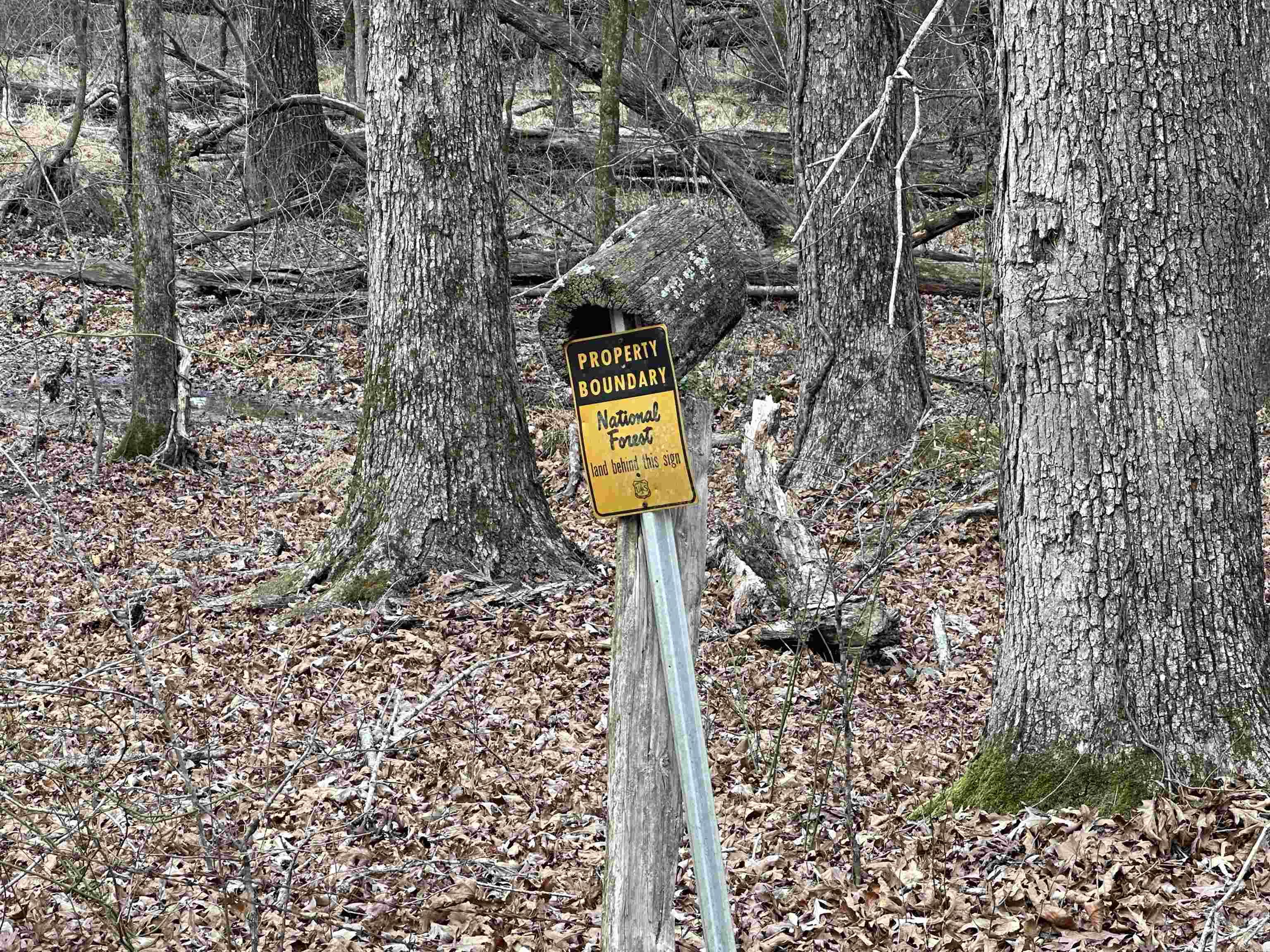 139 Garden  Mount Ida, AR