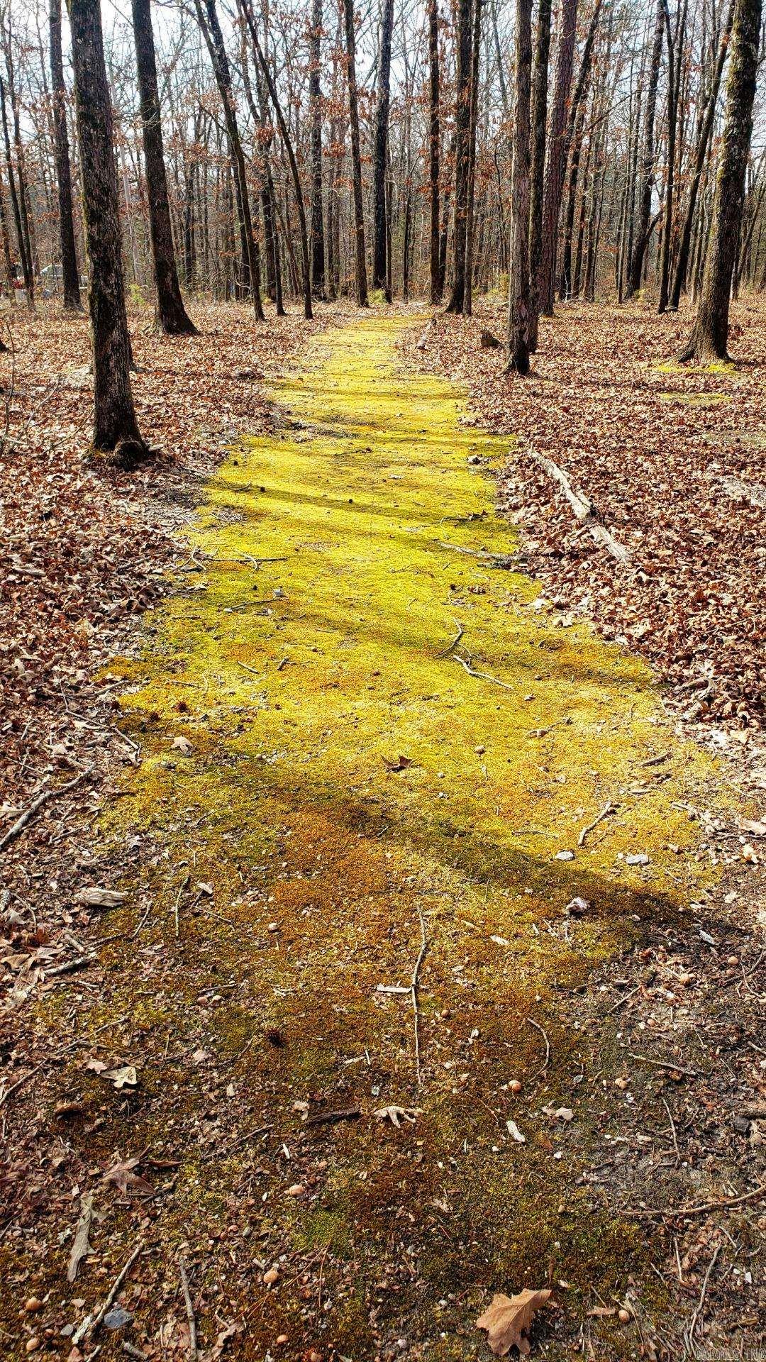 139 Garden Drive Mount Ida, AR 71957