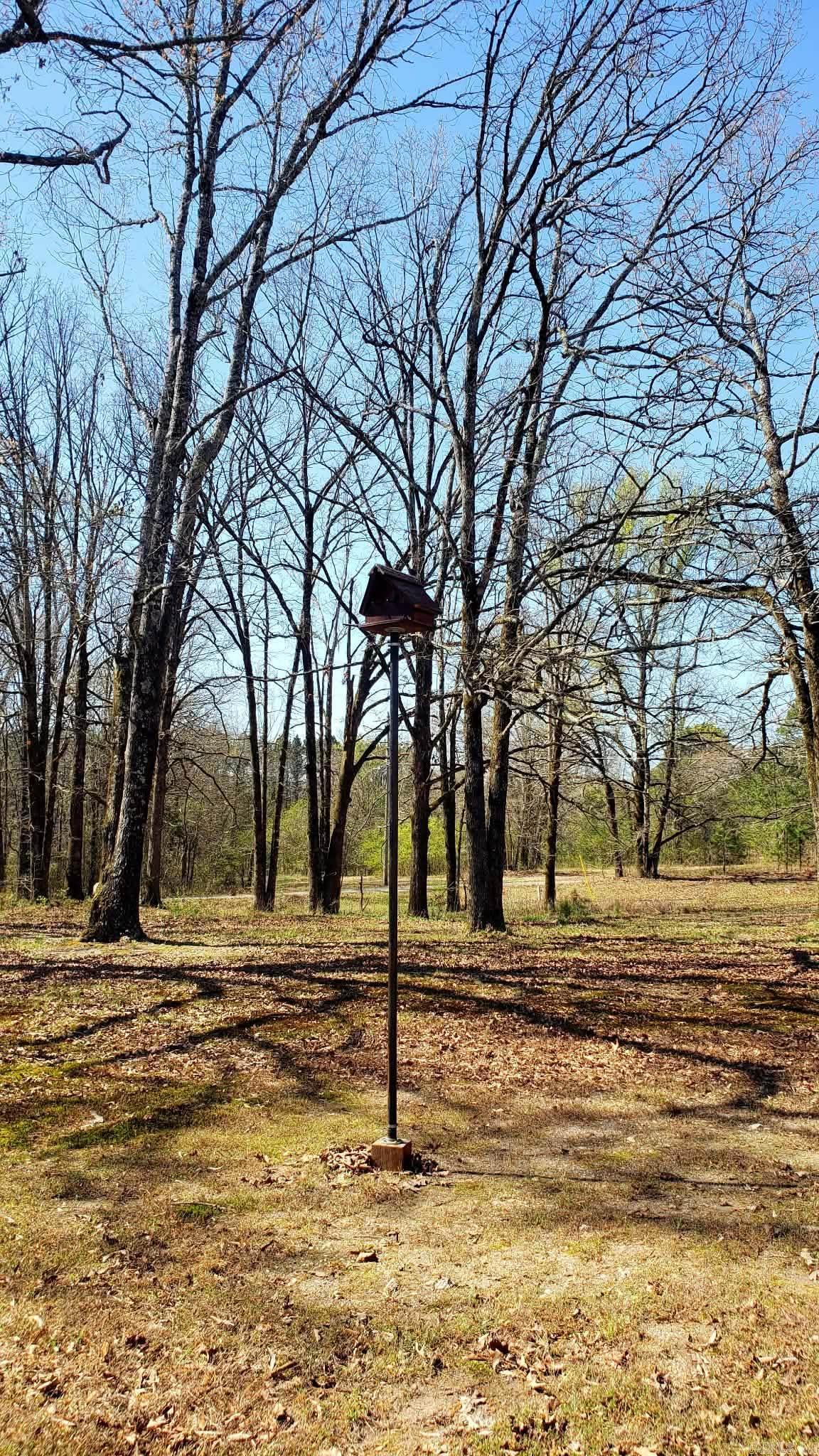 139 Garden Drive Mount Ida, AR 71957