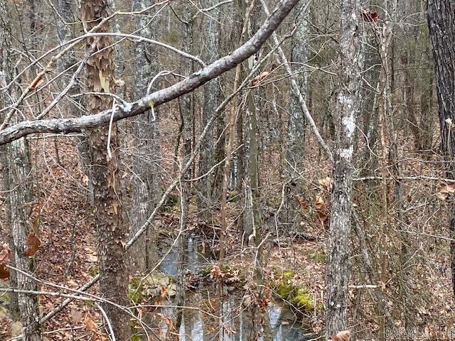 Lot 76 Mustang  Clinton, AR