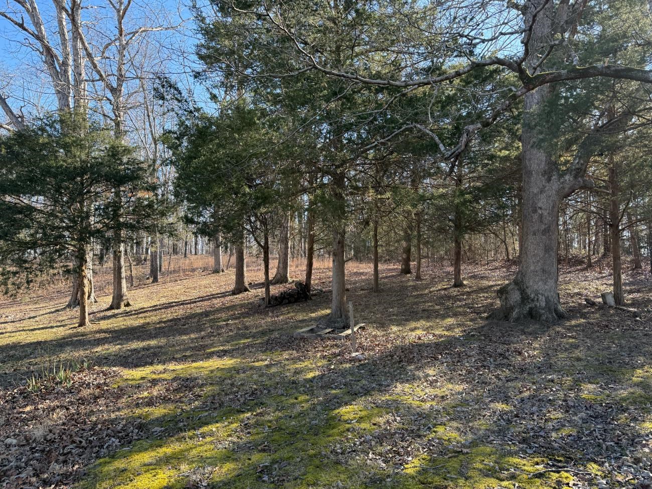 298 Hwy 63  Ravenden, AR