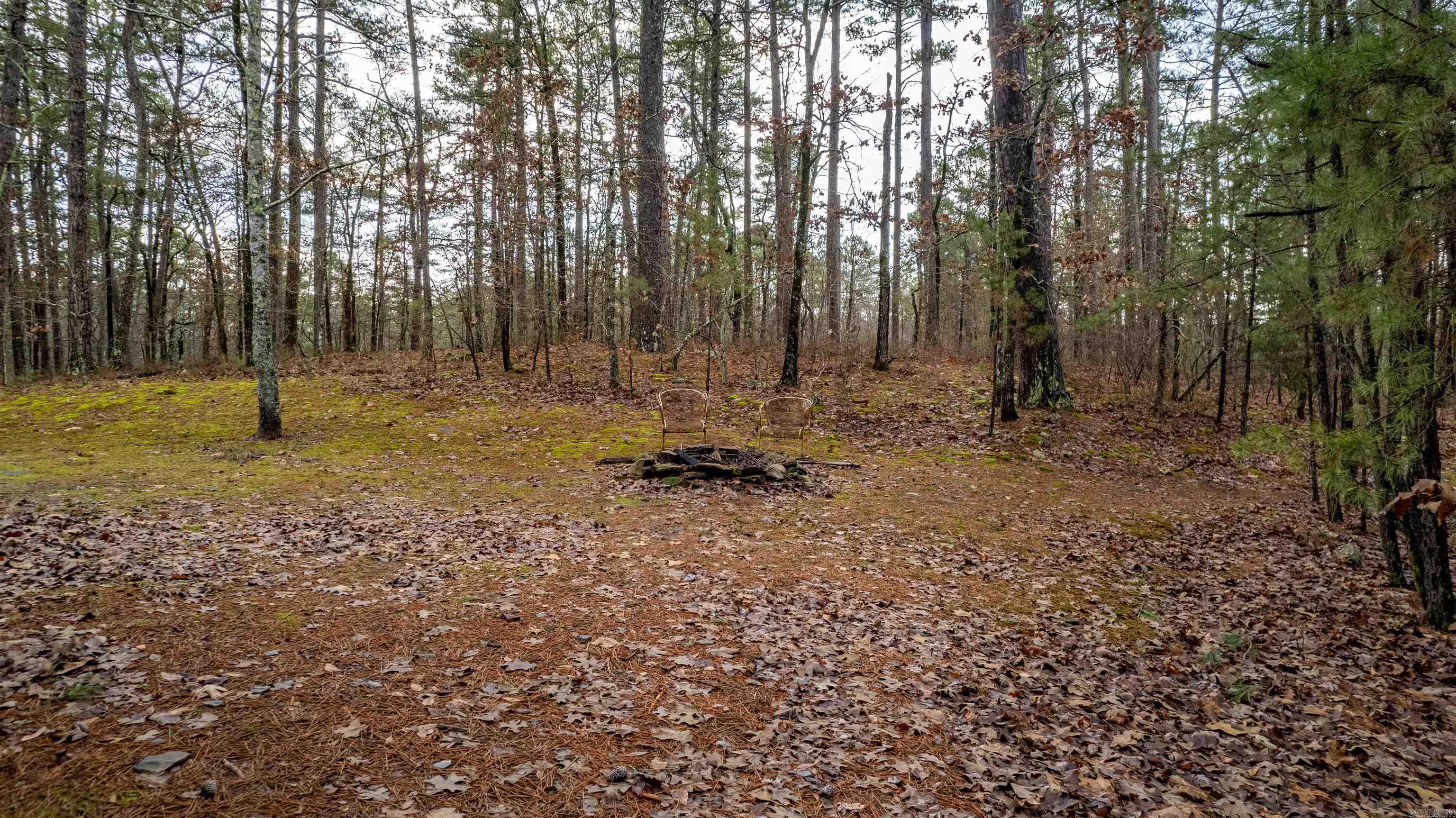 720 Zanzibar  Little Rock, AR