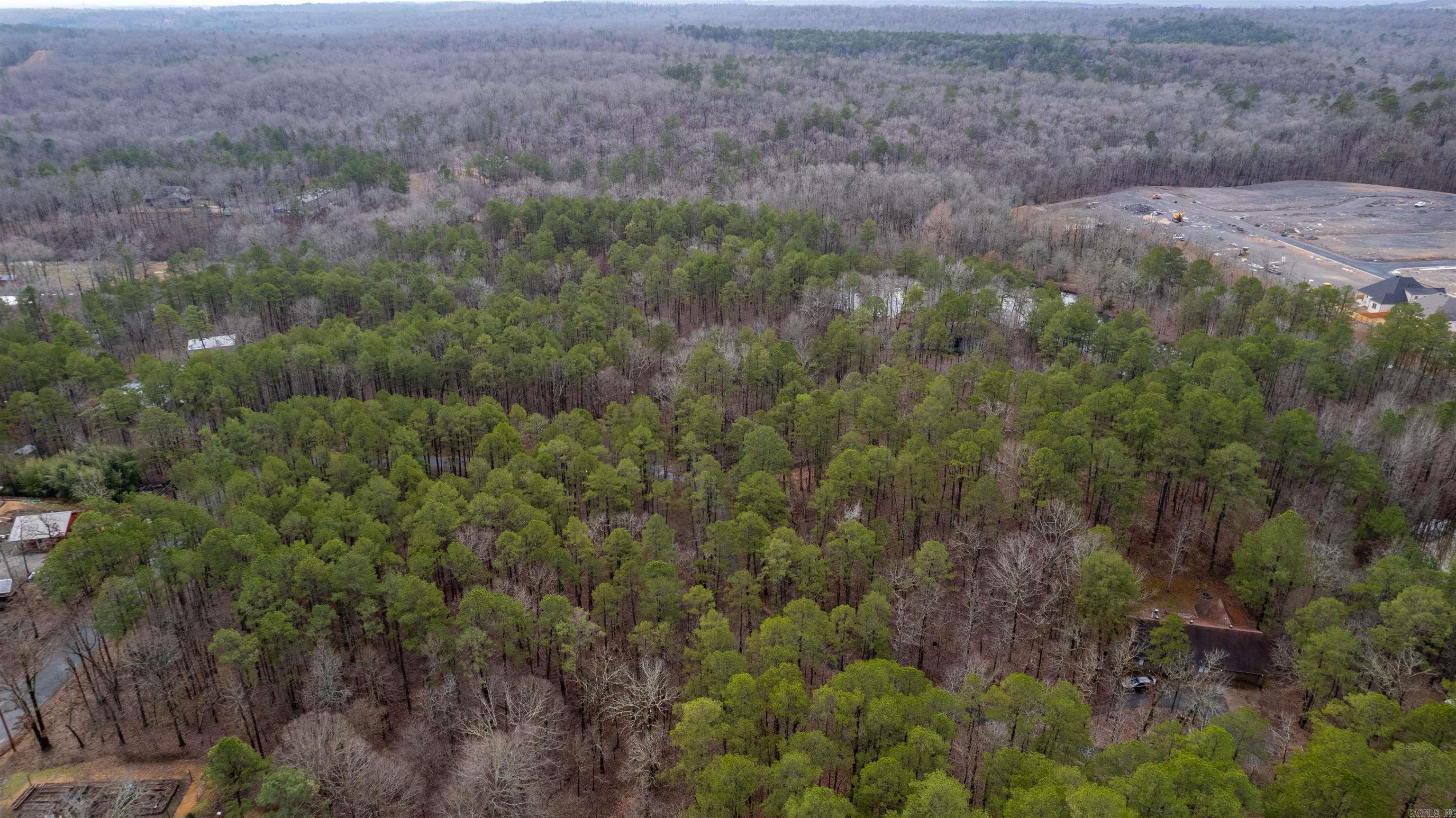 720 Zanzibar  Little Rock, AR