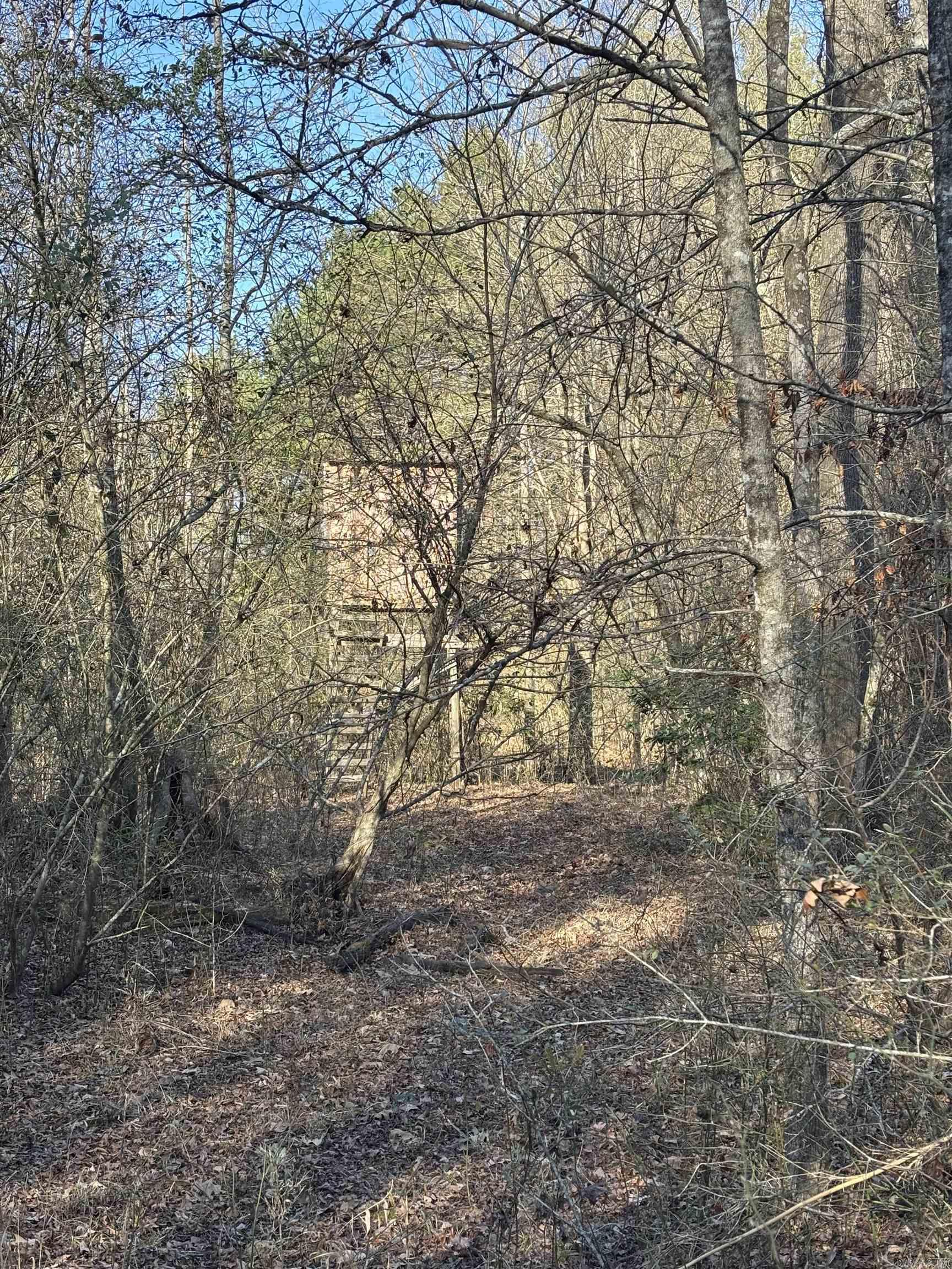 71 ACRE Grant 167031  Sheridan, AR