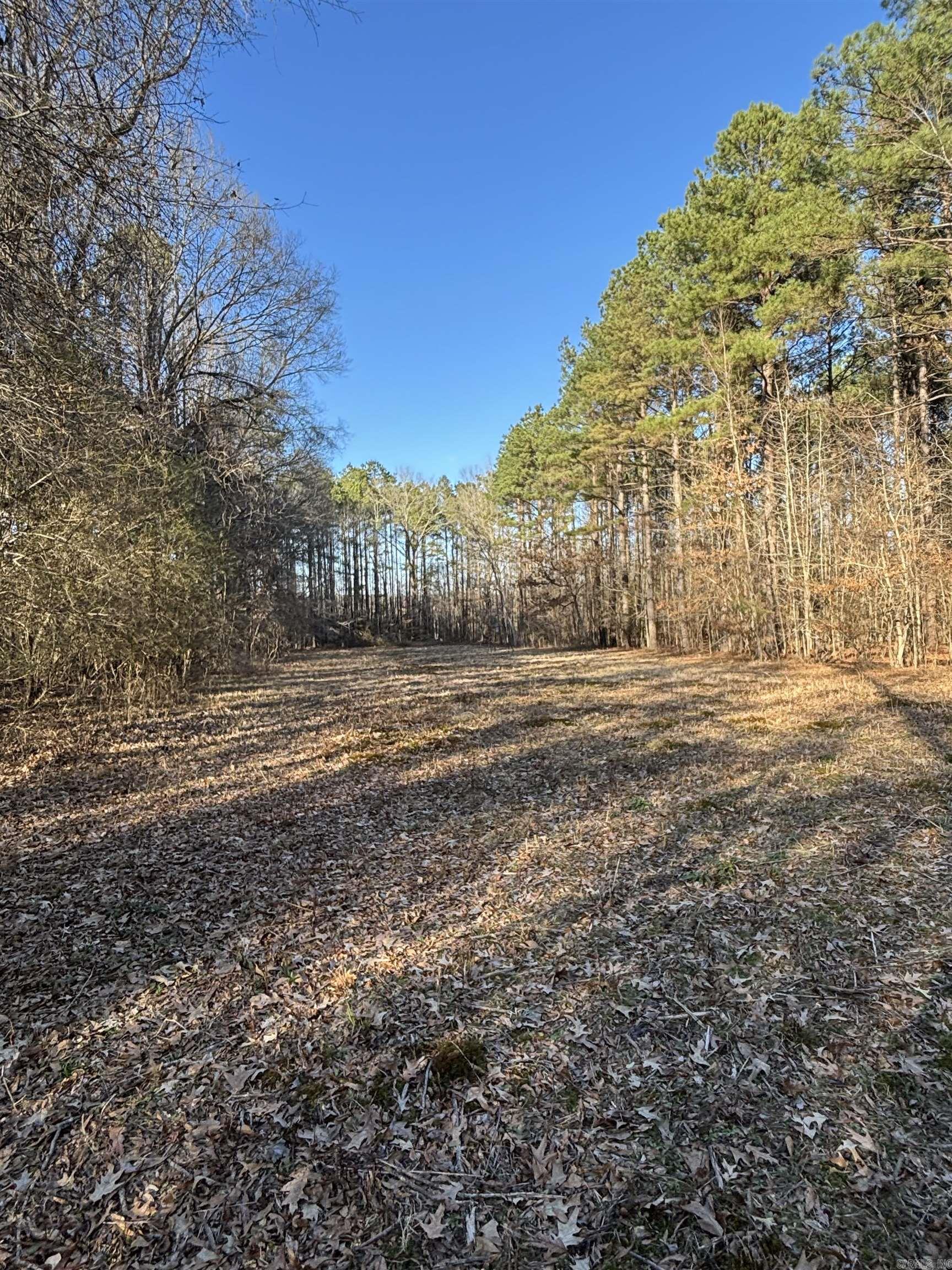 71 ACRE Grant 167031  Sheridan, AR