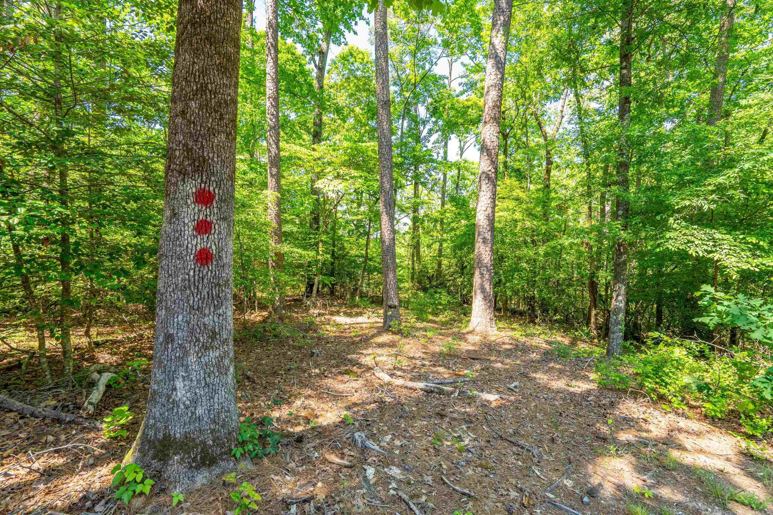 90 Silver Point Unit 4  Mount Ida, AR