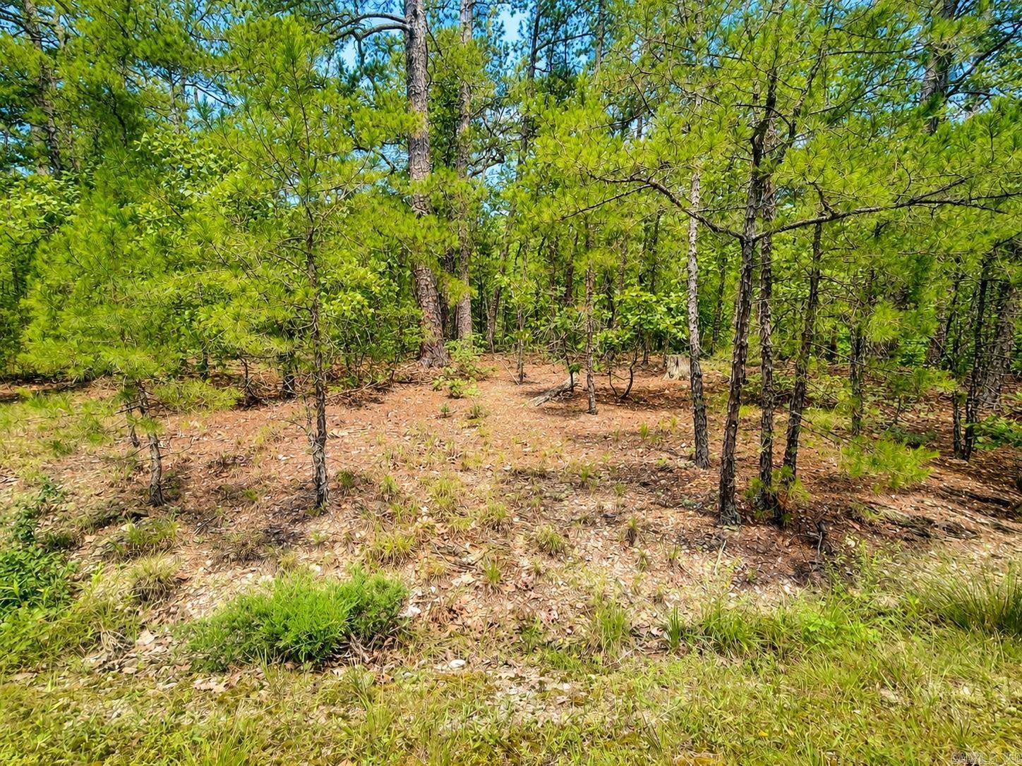 6 Calahorra  Hot Springs Village, AR