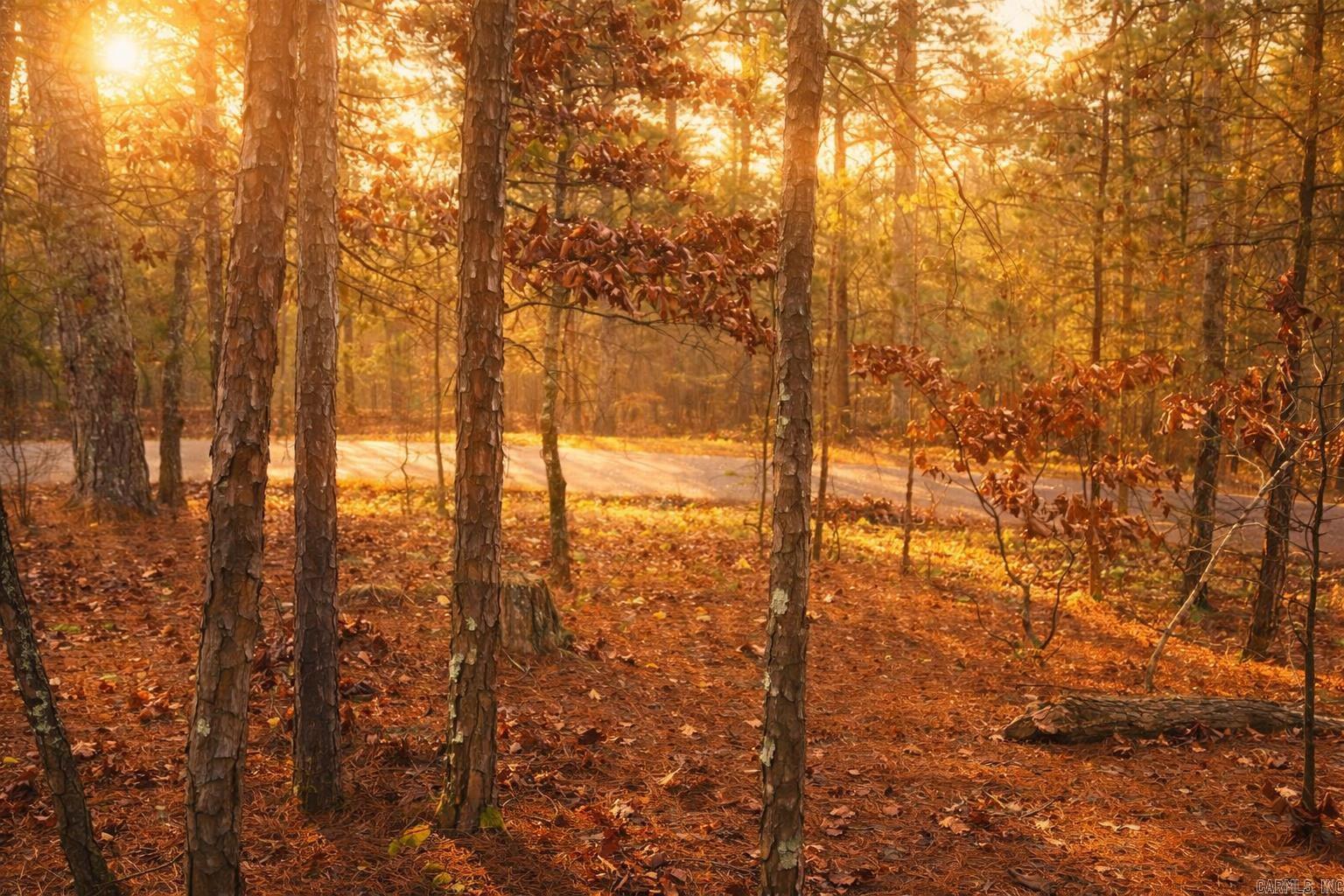 6 Calahorra  Hot Springs Village, AR