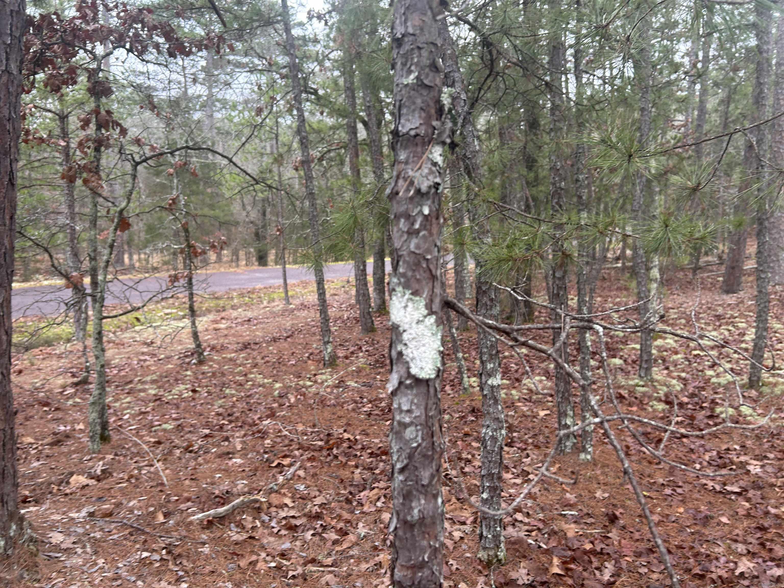 6 Calahorra  Hot Springs Village, AR