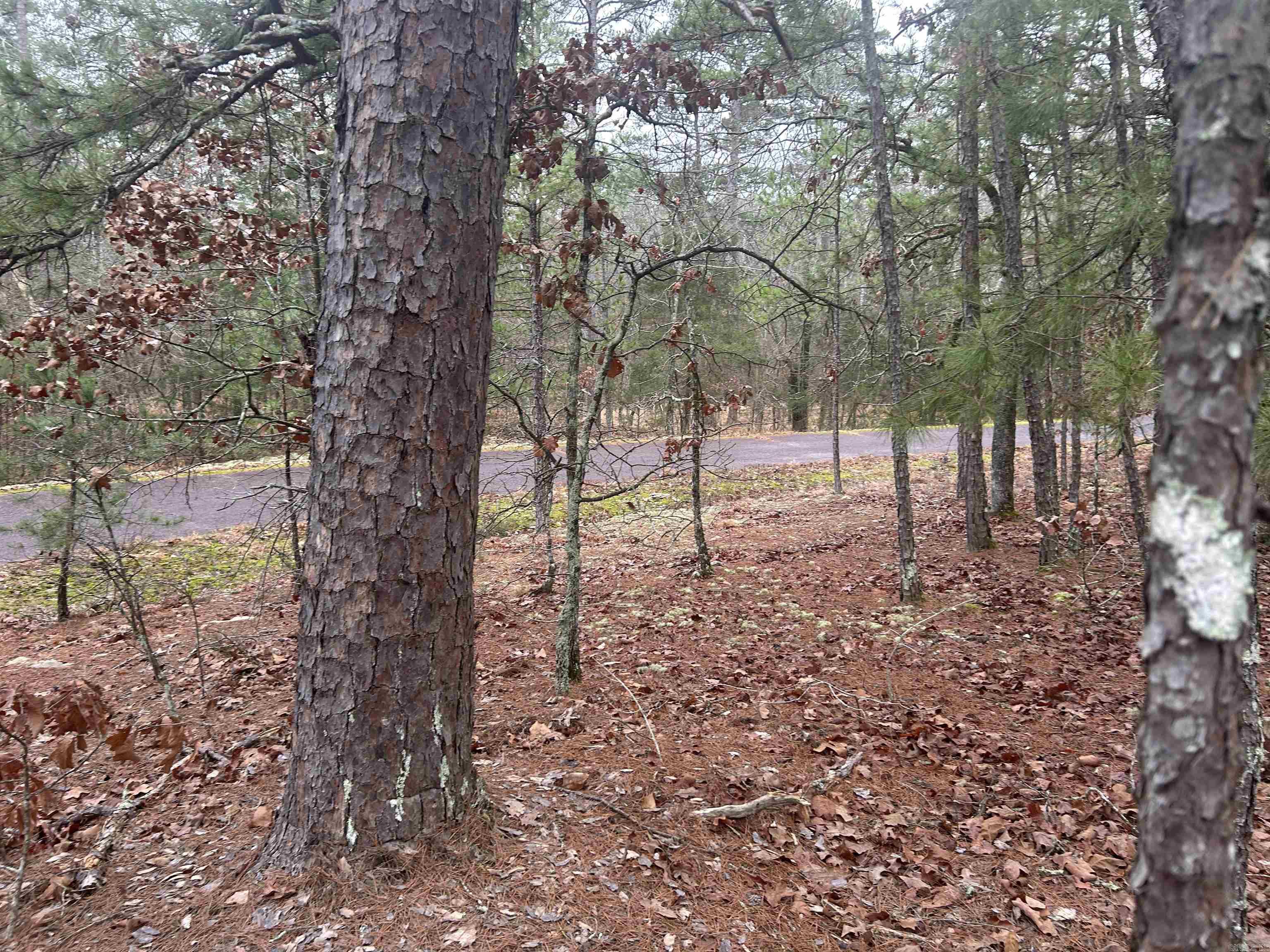 6 Calahorra  Hot Springs Village, AR