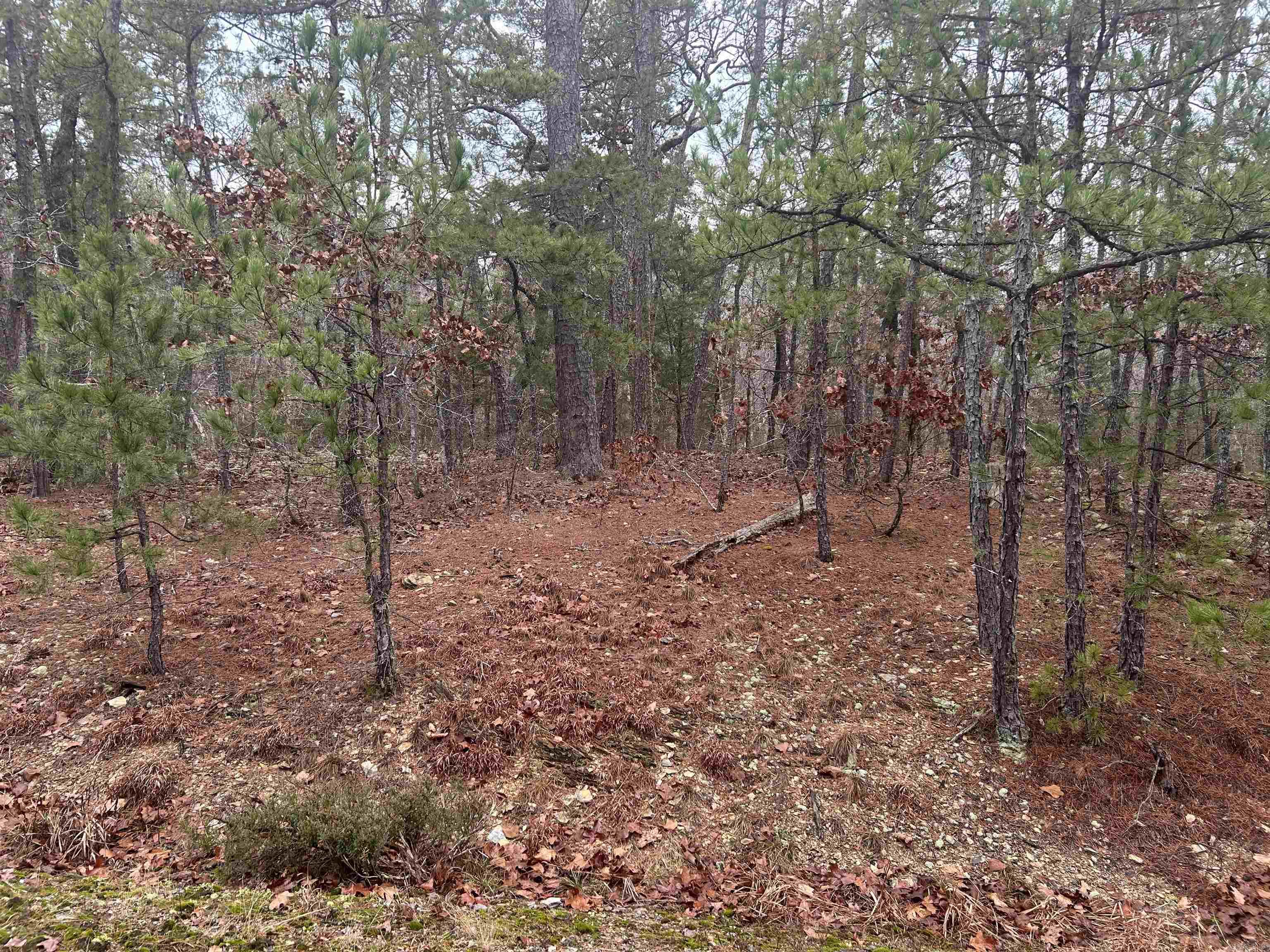 6 Calahorra  Hot Springs Village, AR
