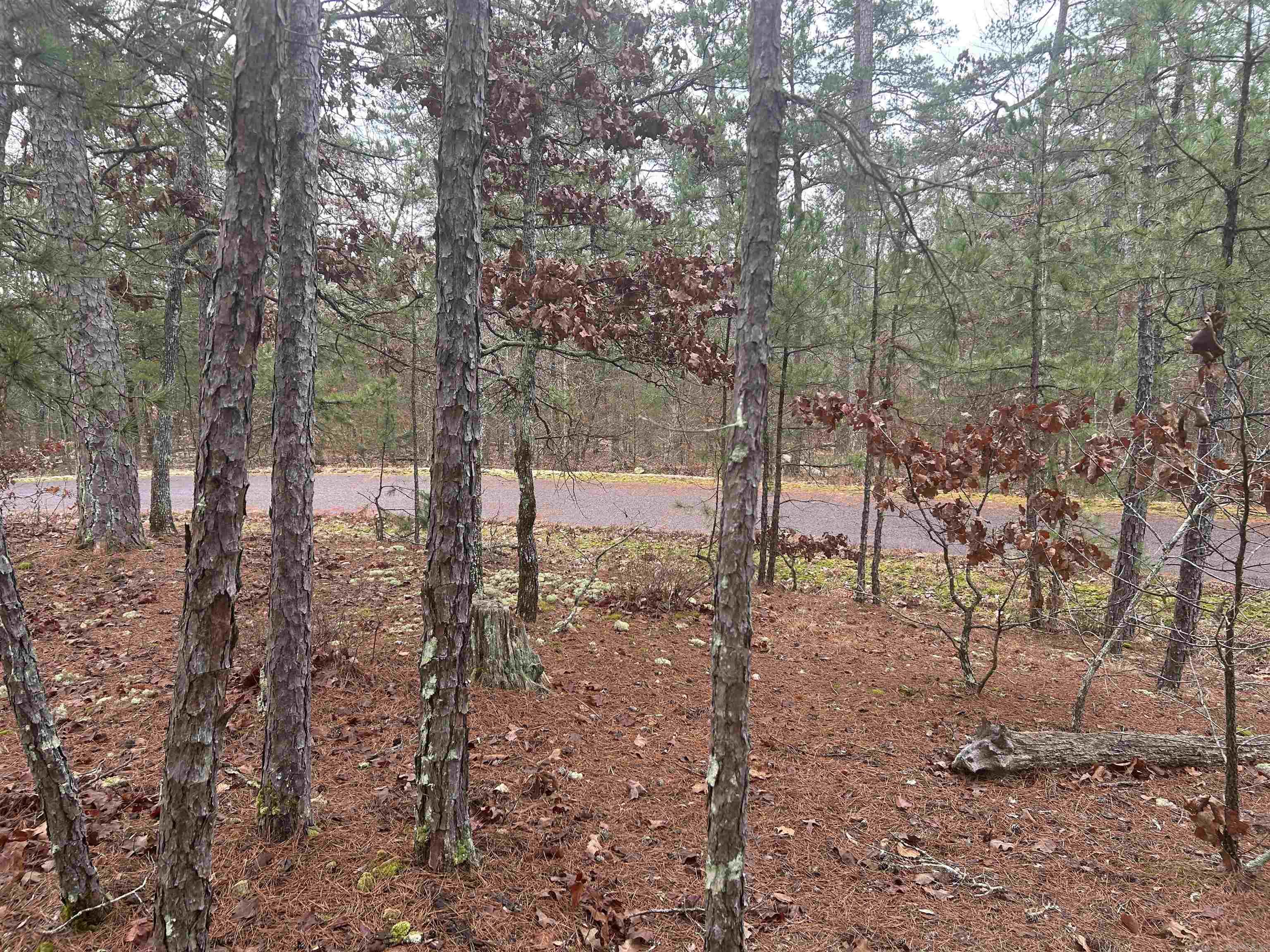 6 Calahorra  Hot Springs Village, AR