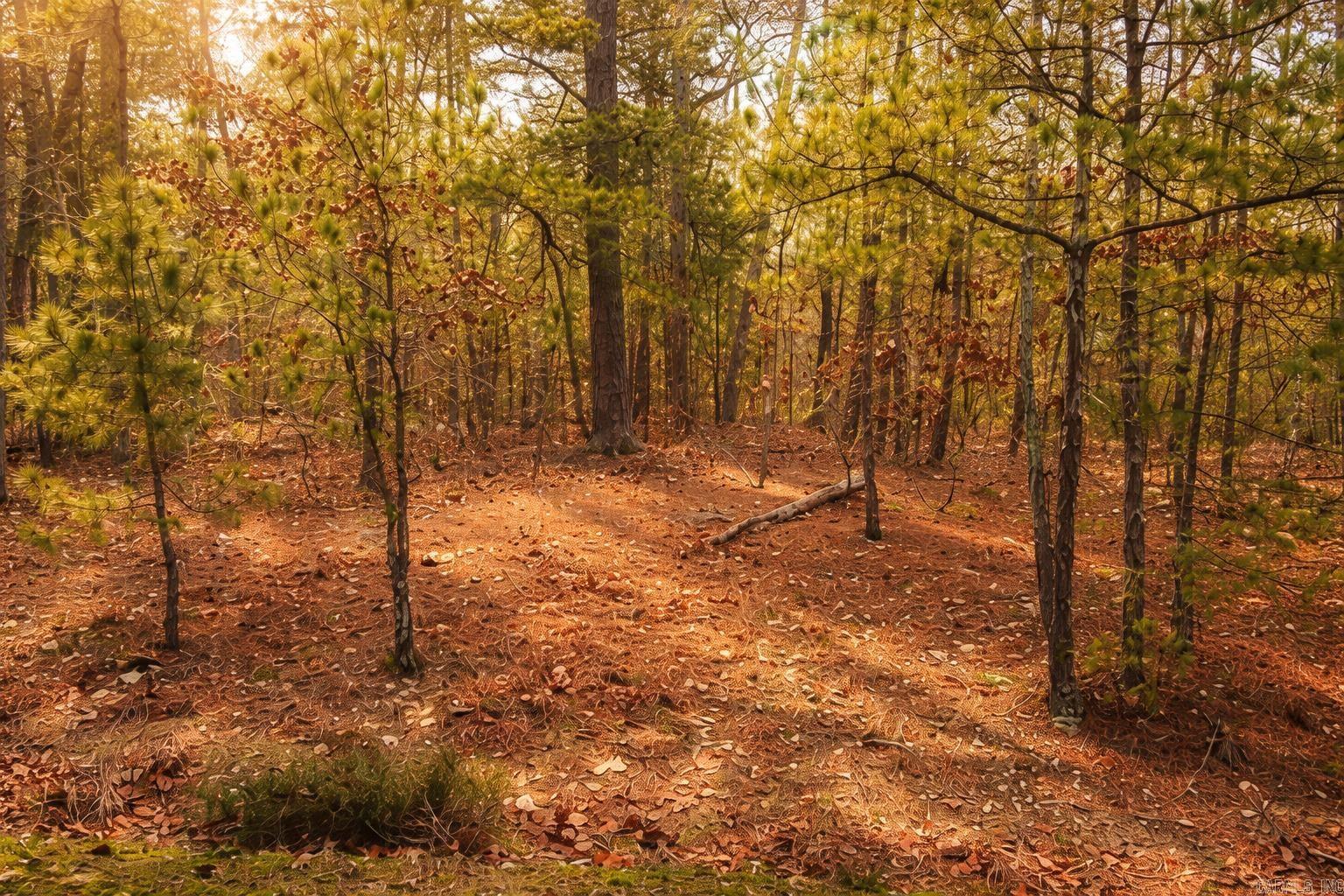6 Calahorra  Hot Springs Village, AR