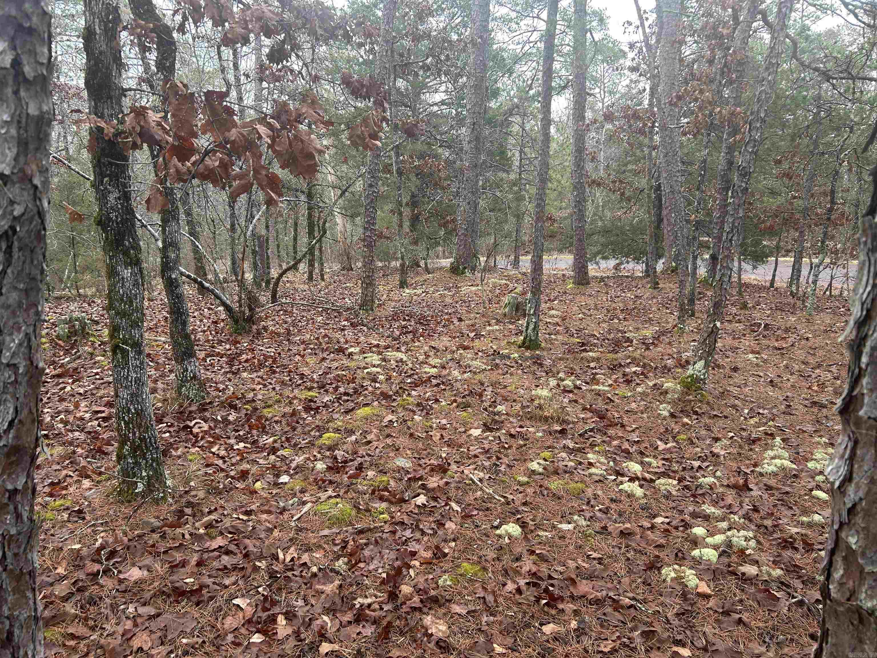 6 Calahorra  Hot Springs Village, AR