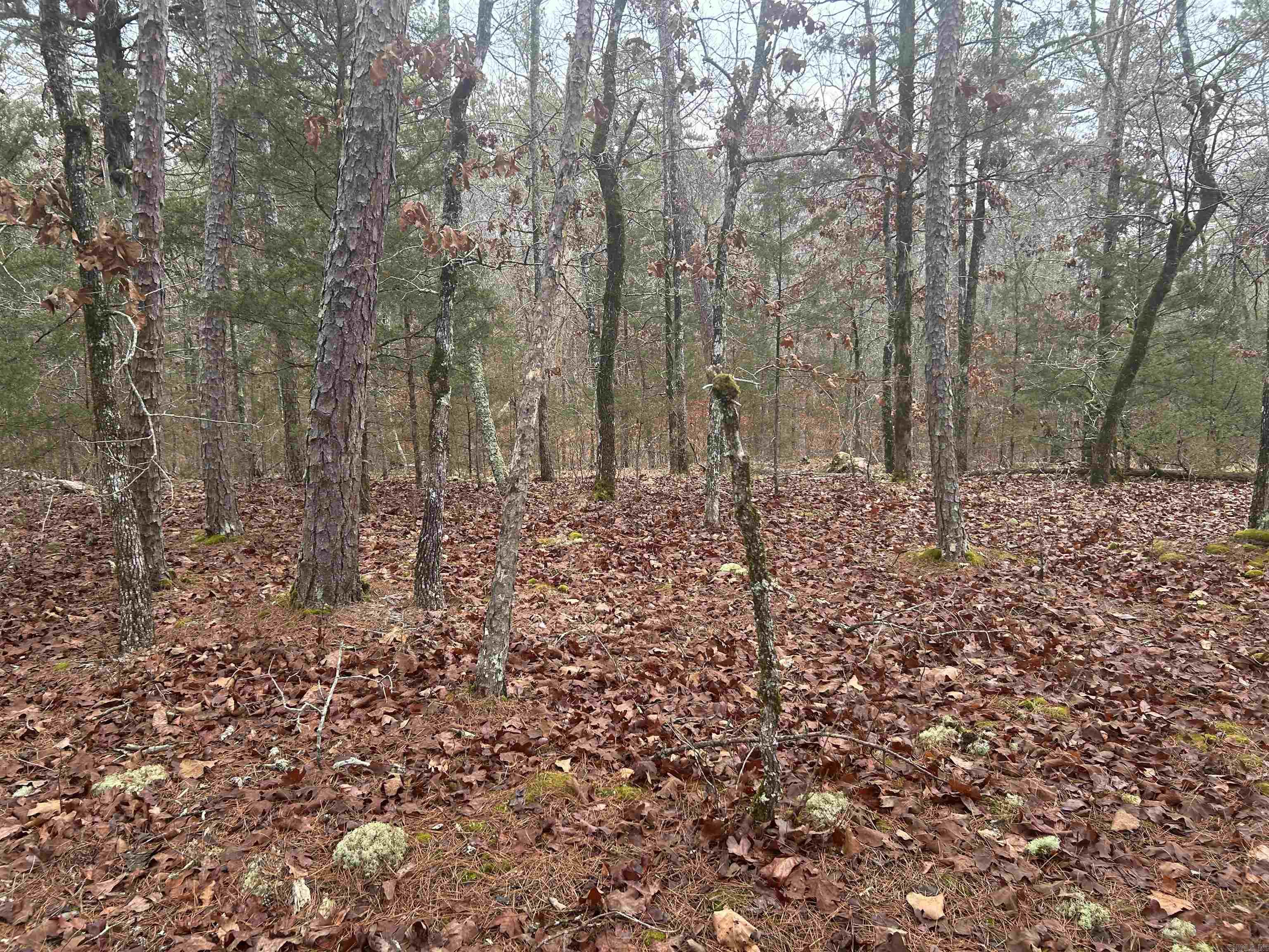 6 Calahorra  Hot Springs Village, AR