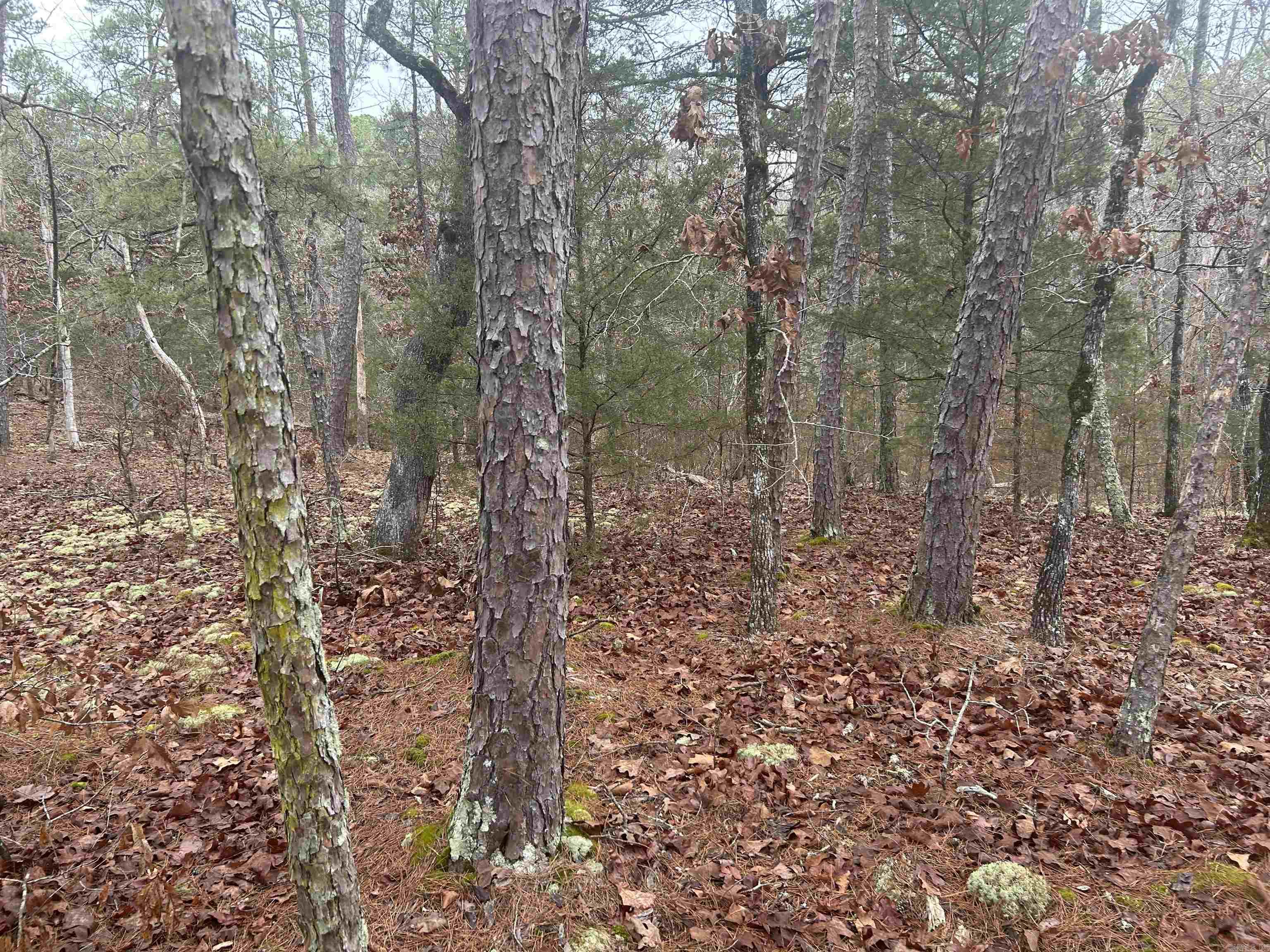 6 Calahorra  Hot Springs Village, AR