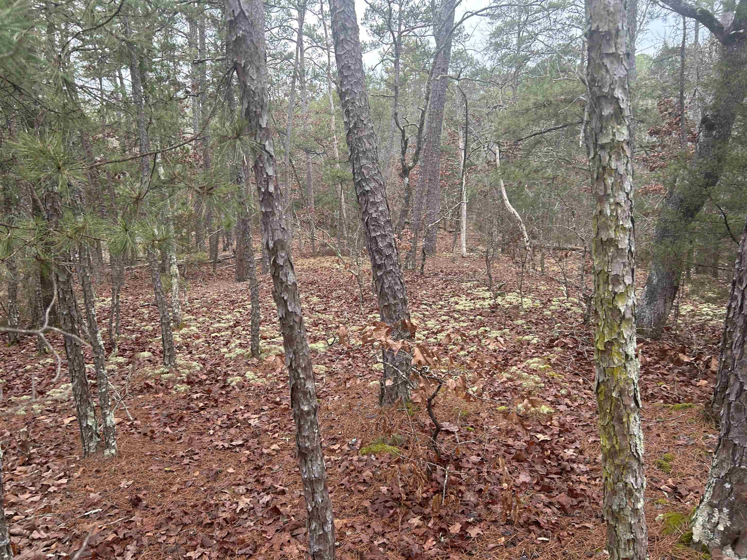 6 Calahorra  Hot Springs Village, AR