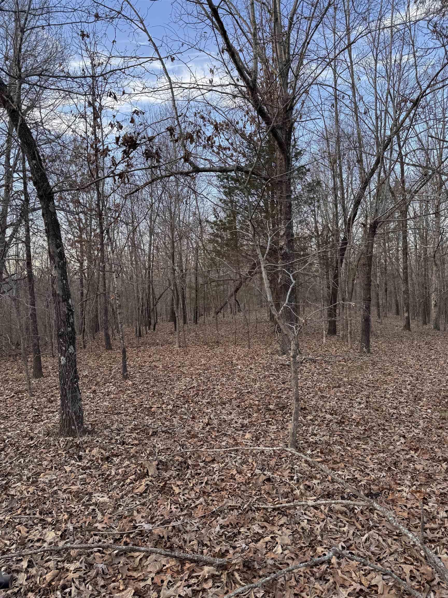  County Road 470  Rector, AR