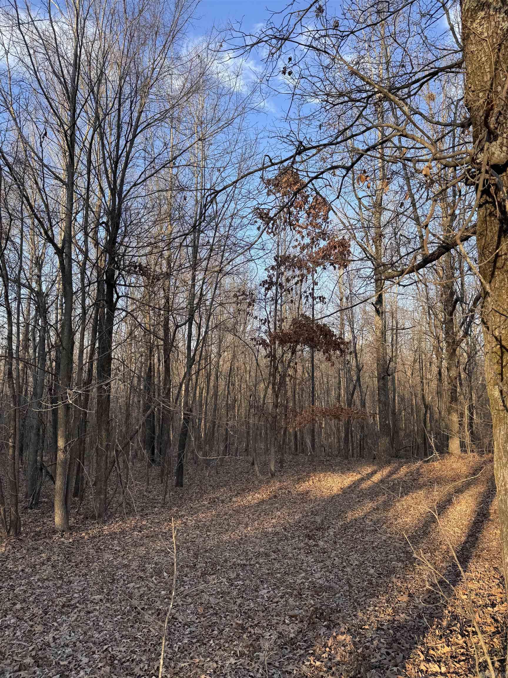  County Road 470  Rector, AR