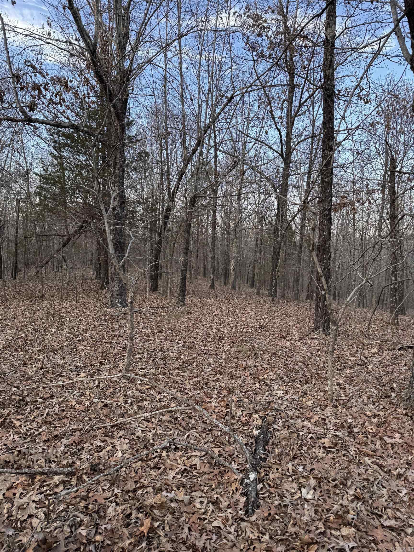  County Road 470  Rector, AR