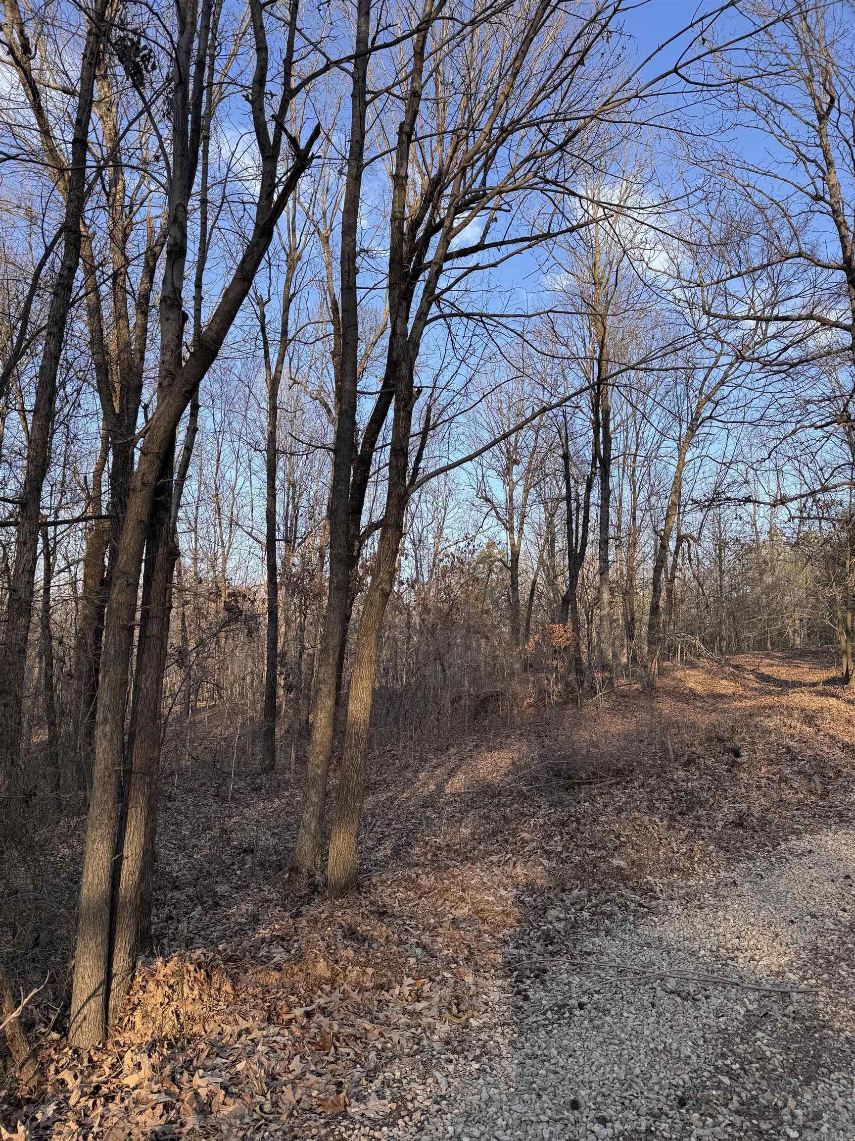  County Road 470  Rector, AR