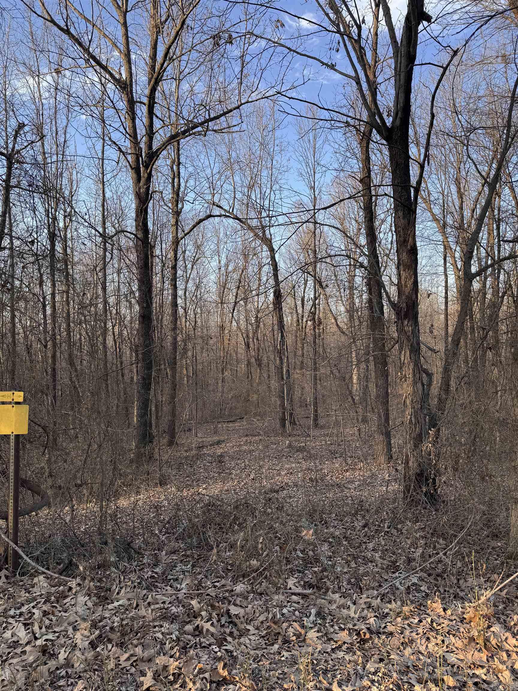  County Road 470  Rector, AR