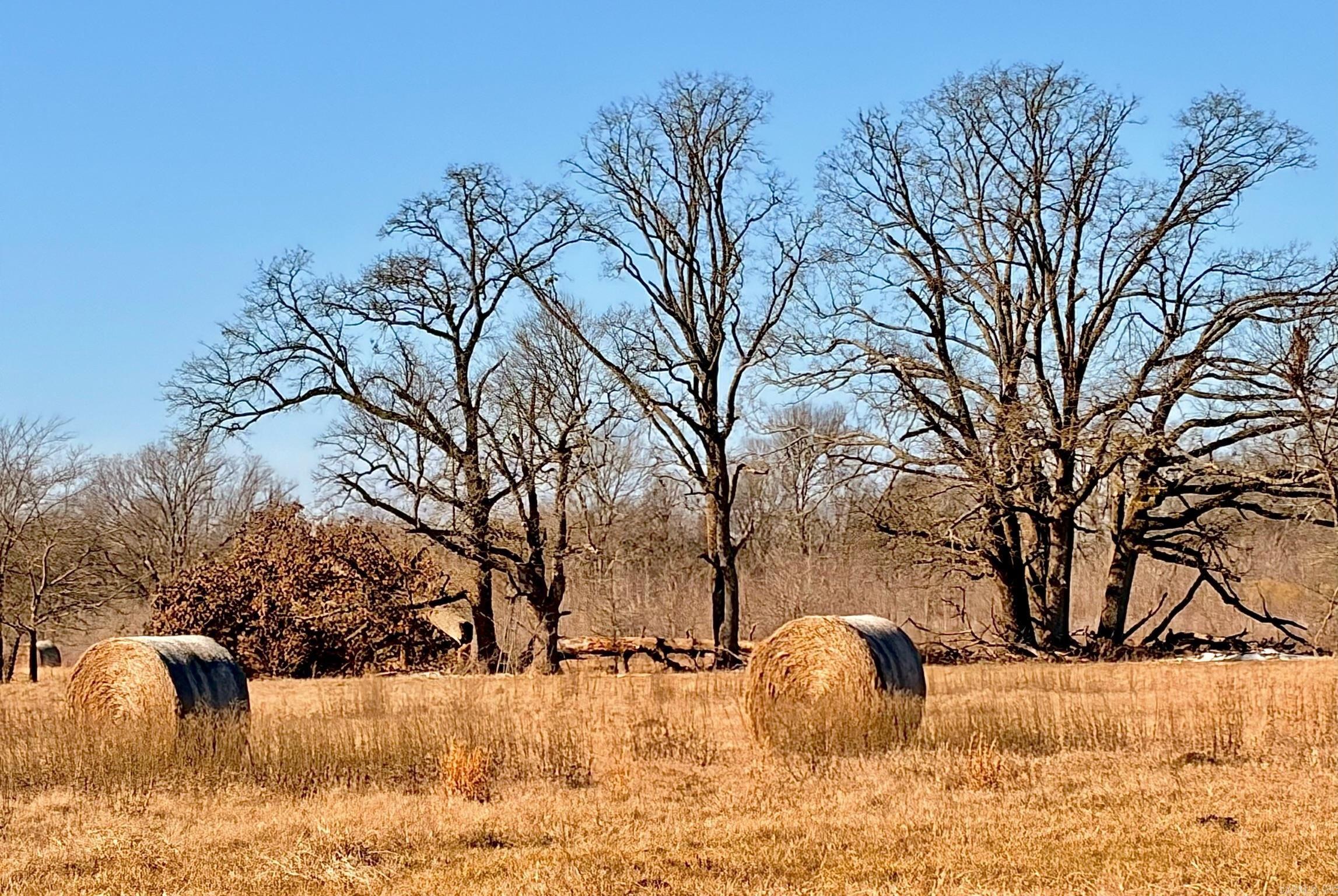 000 Sugar Hill  Texarkana, AR