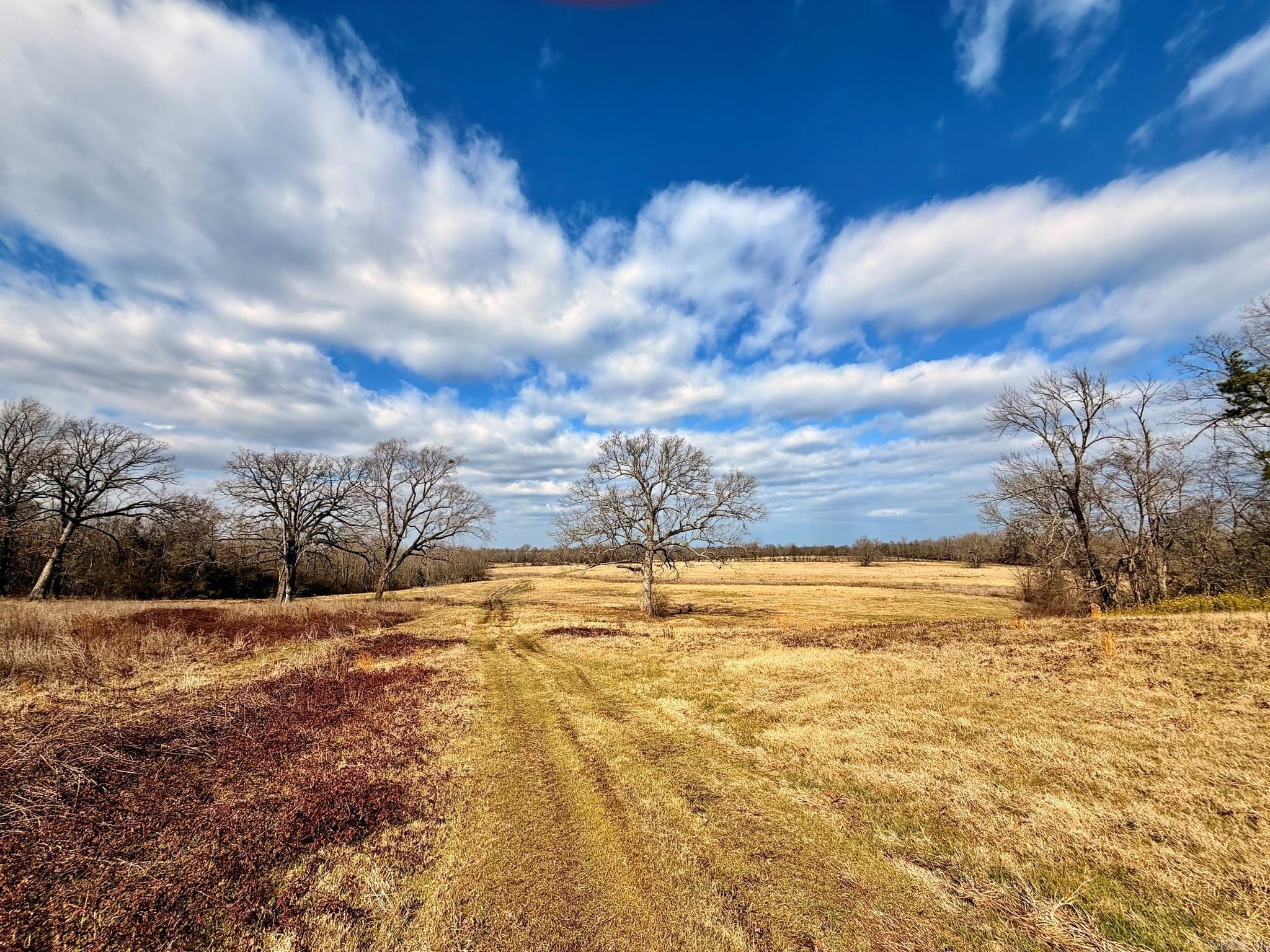 000 Sugar Hill  Texarkana, AR