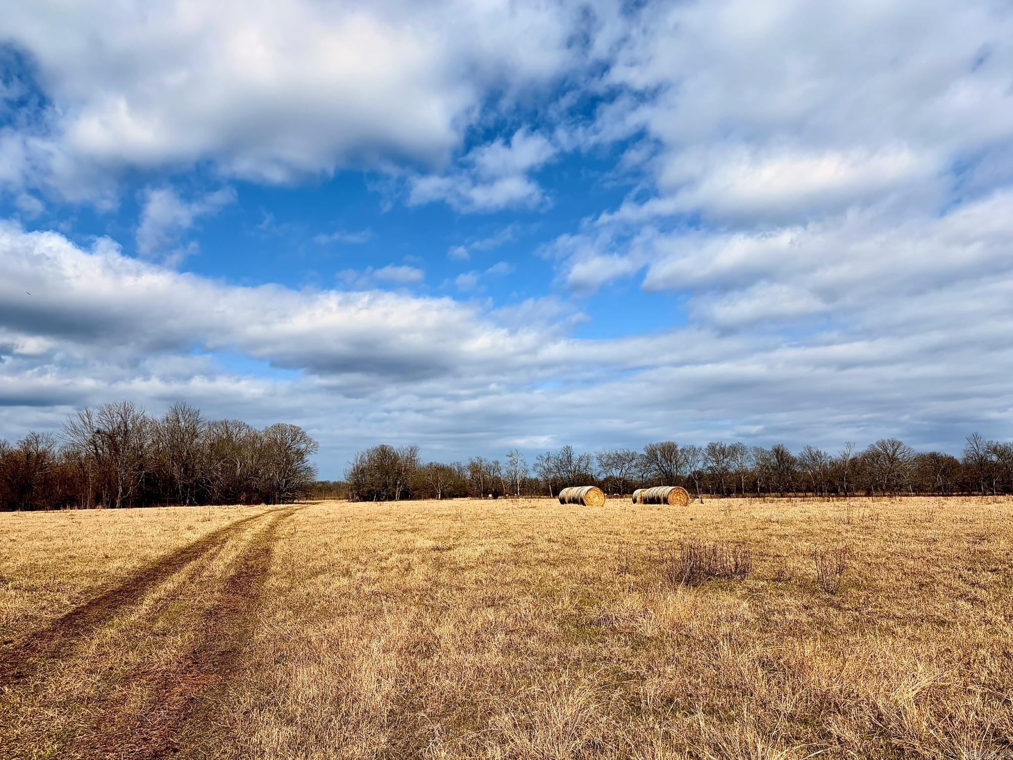 000 Sugar Hill  Texarkana, AR