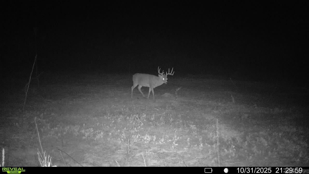 000 Sugar Hill  Texarkana, AR