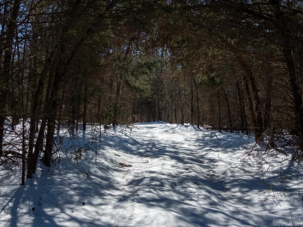 142 Whitworth  Concord, AR