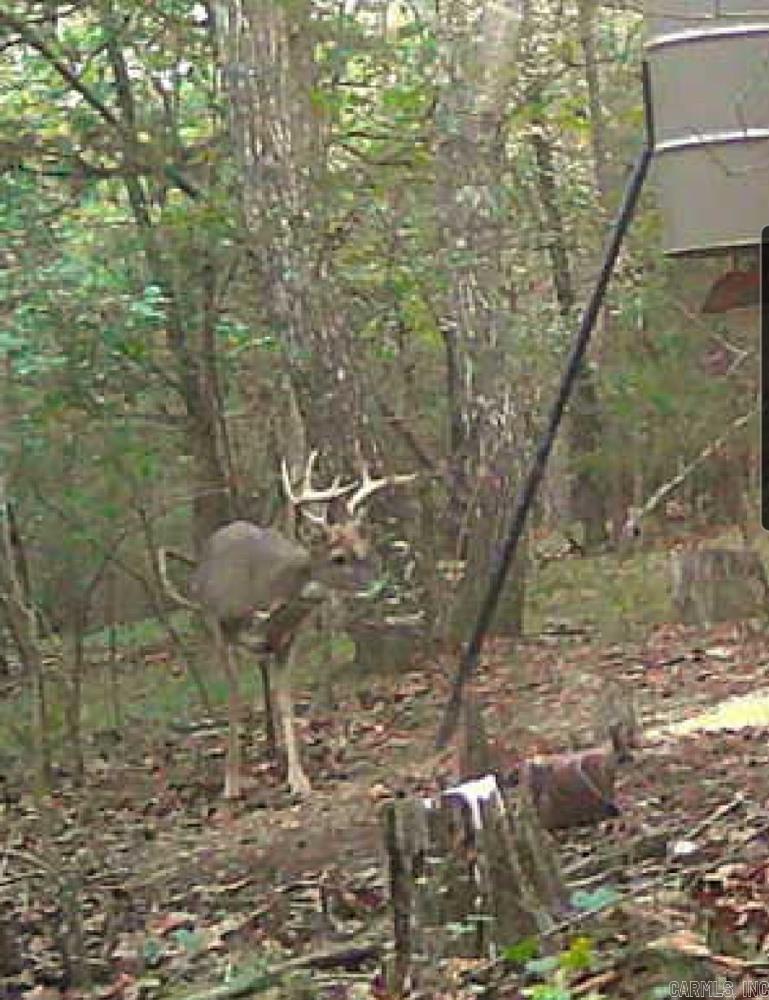 142 Whitworth  Concord, AR