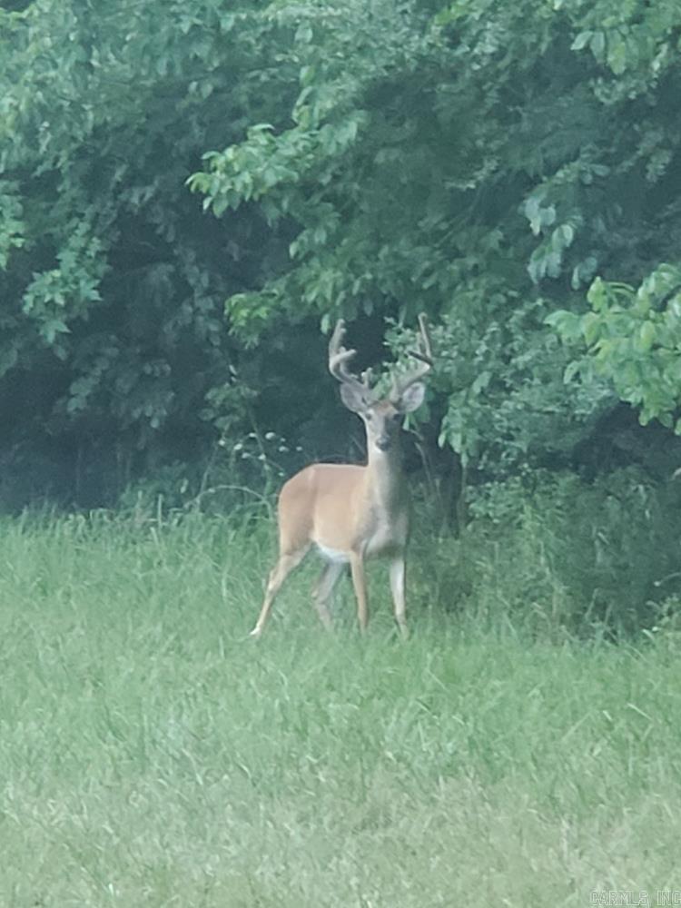 142 Whitworth  Concord, AR