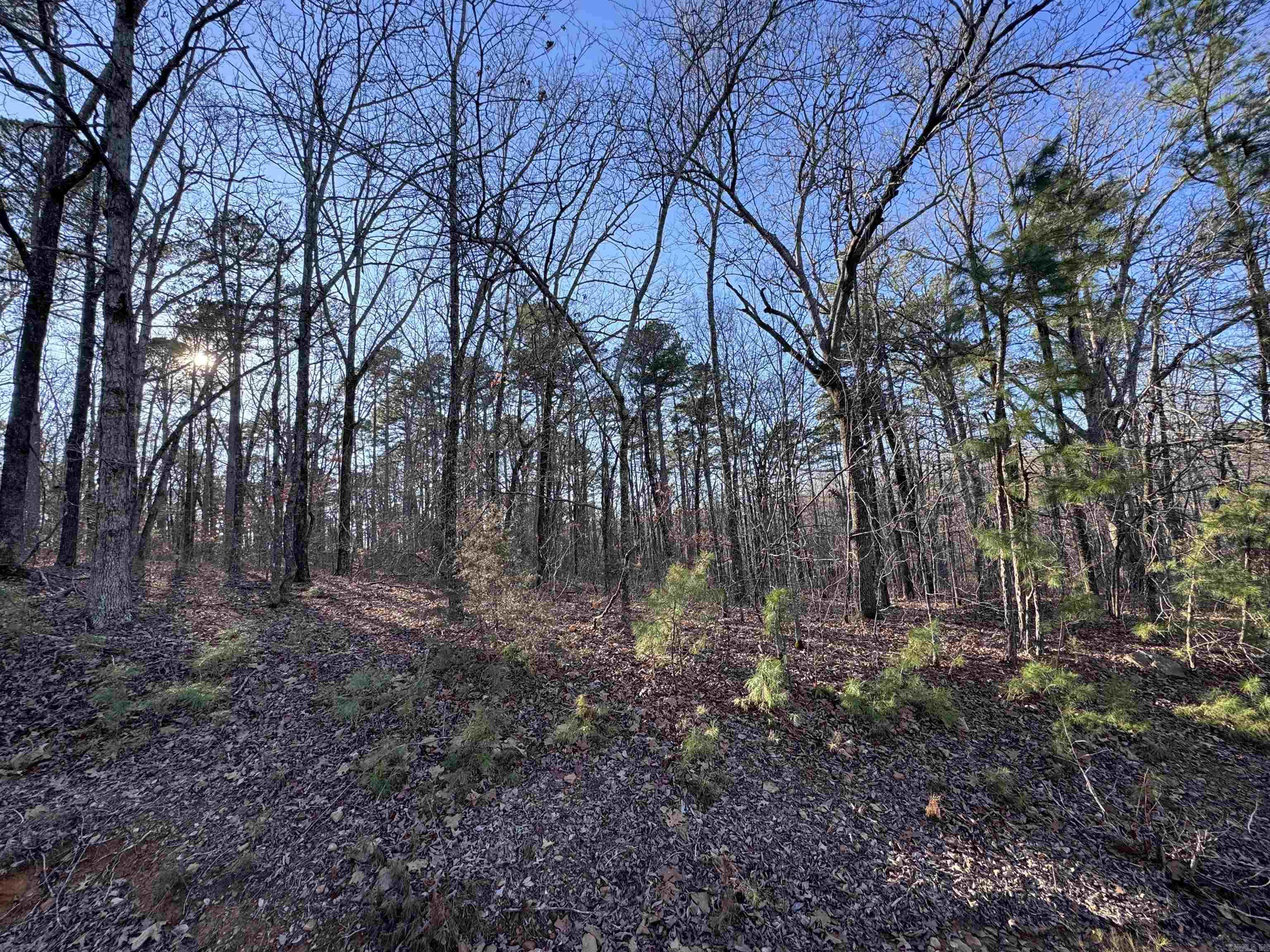 000 N Miller Point Road  Quitman, AR