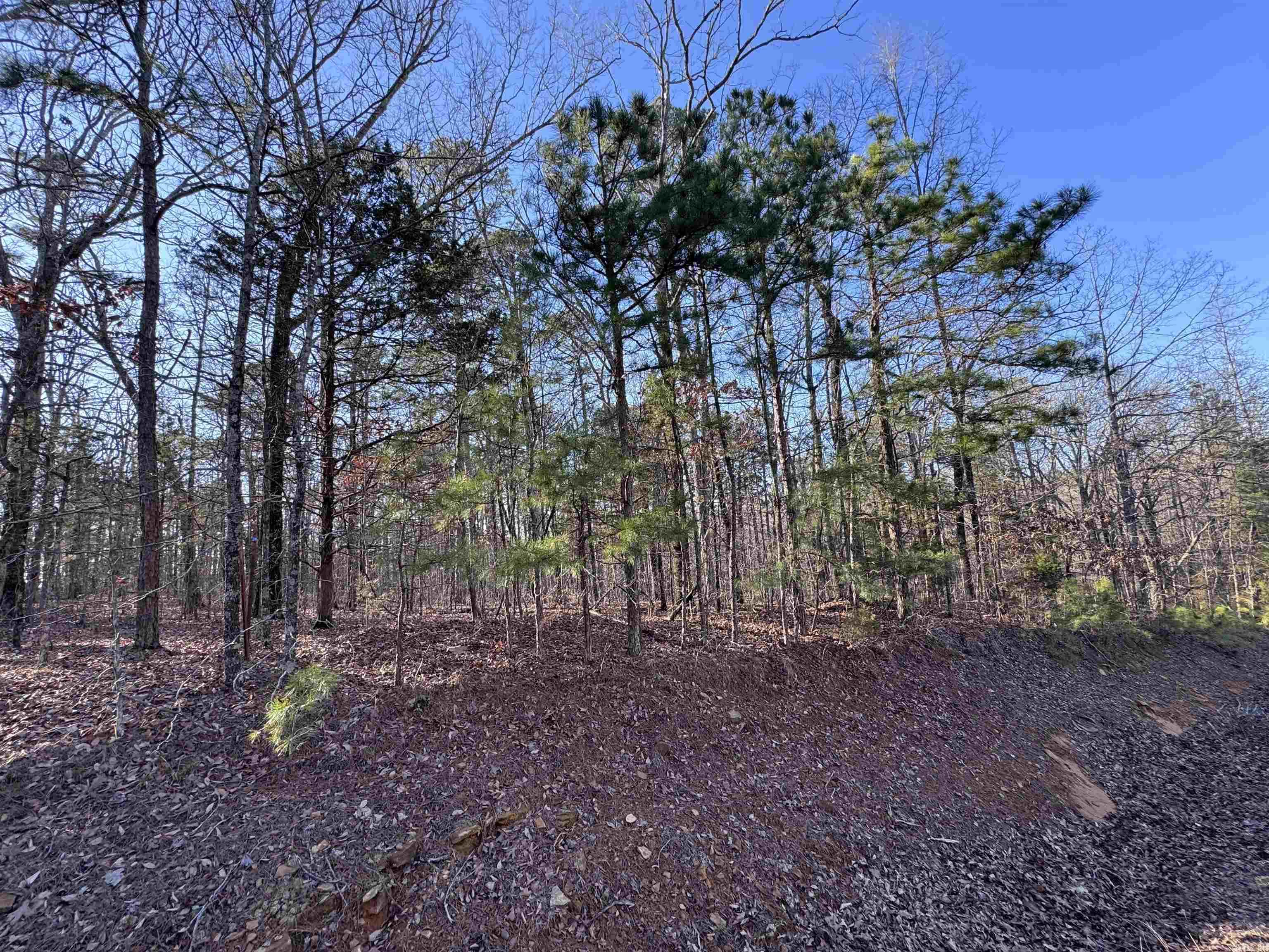 000 N Miller Point Road  Quitman, AR