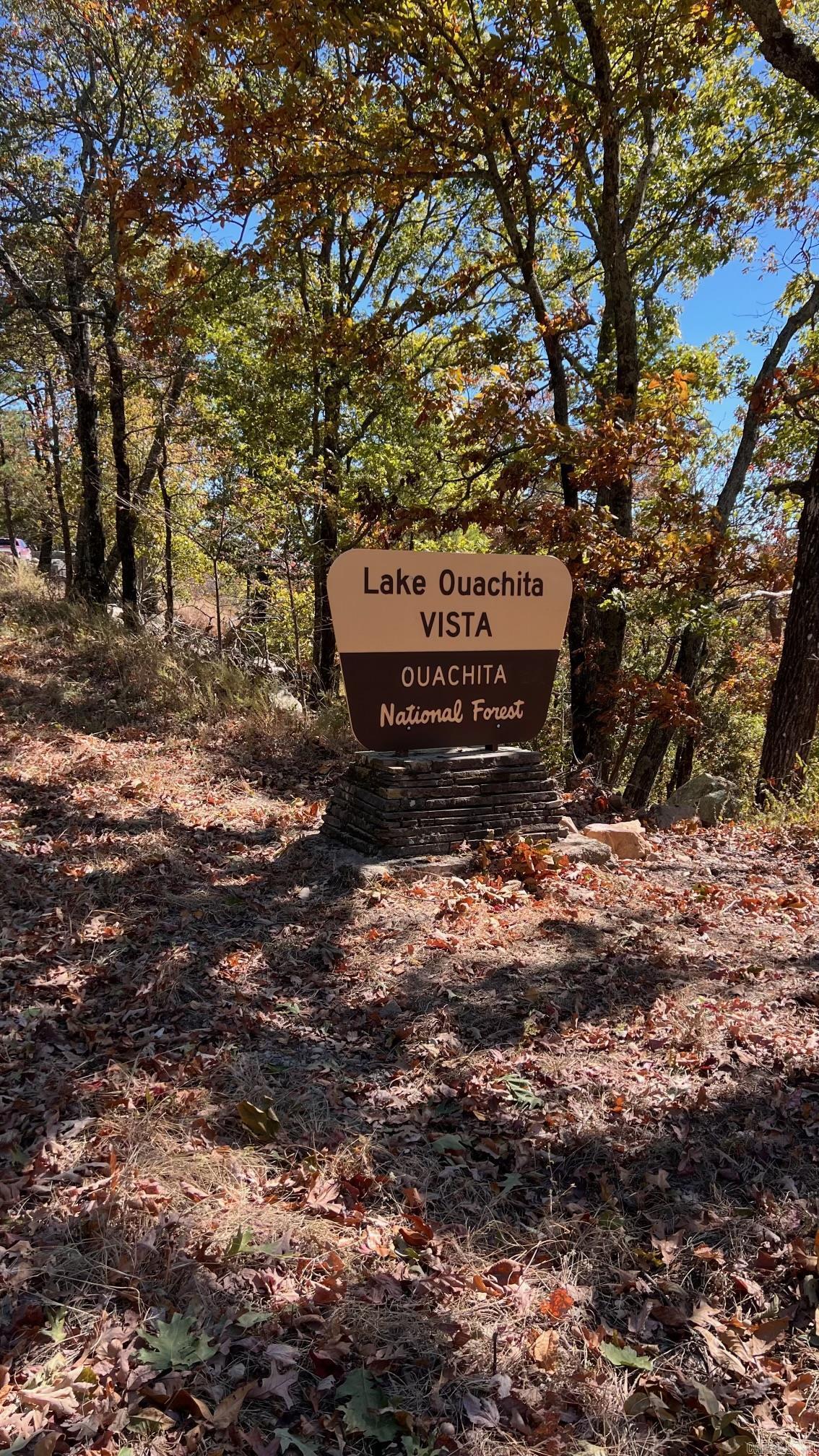 21 Pine  Mount Ida, AR