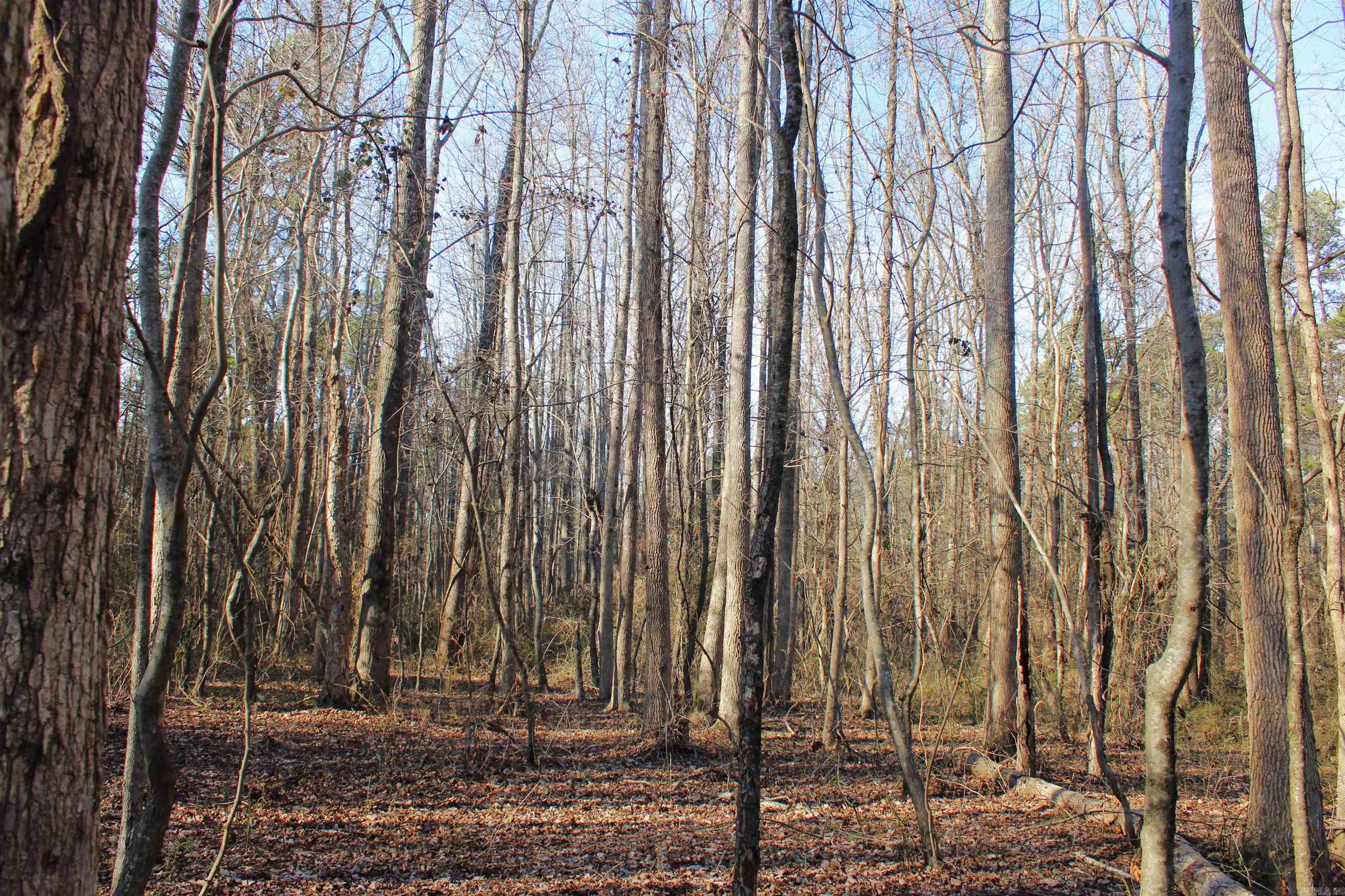 0 E Bivens  Quitman, AR