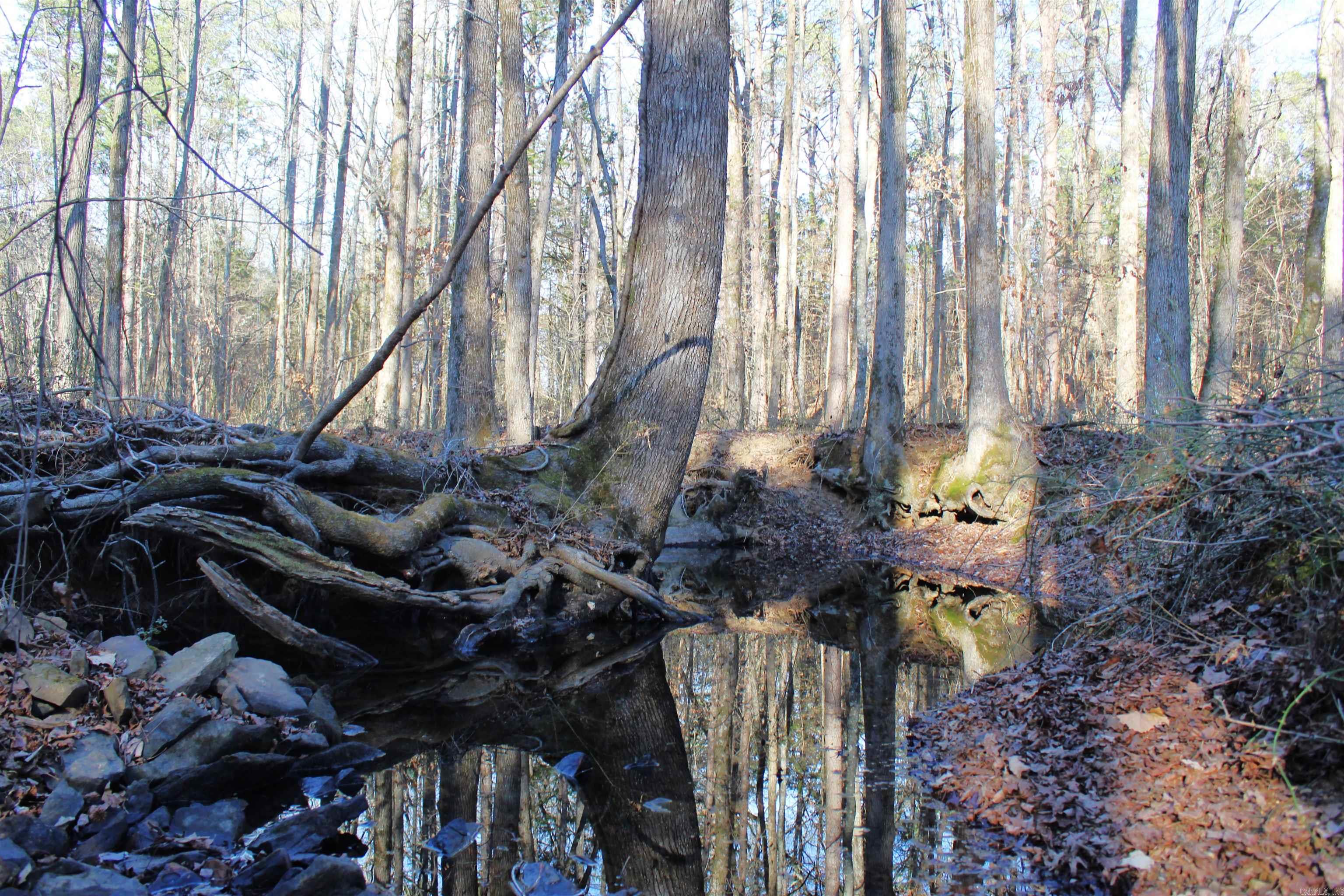 0 E Bivens  Quitman, AR