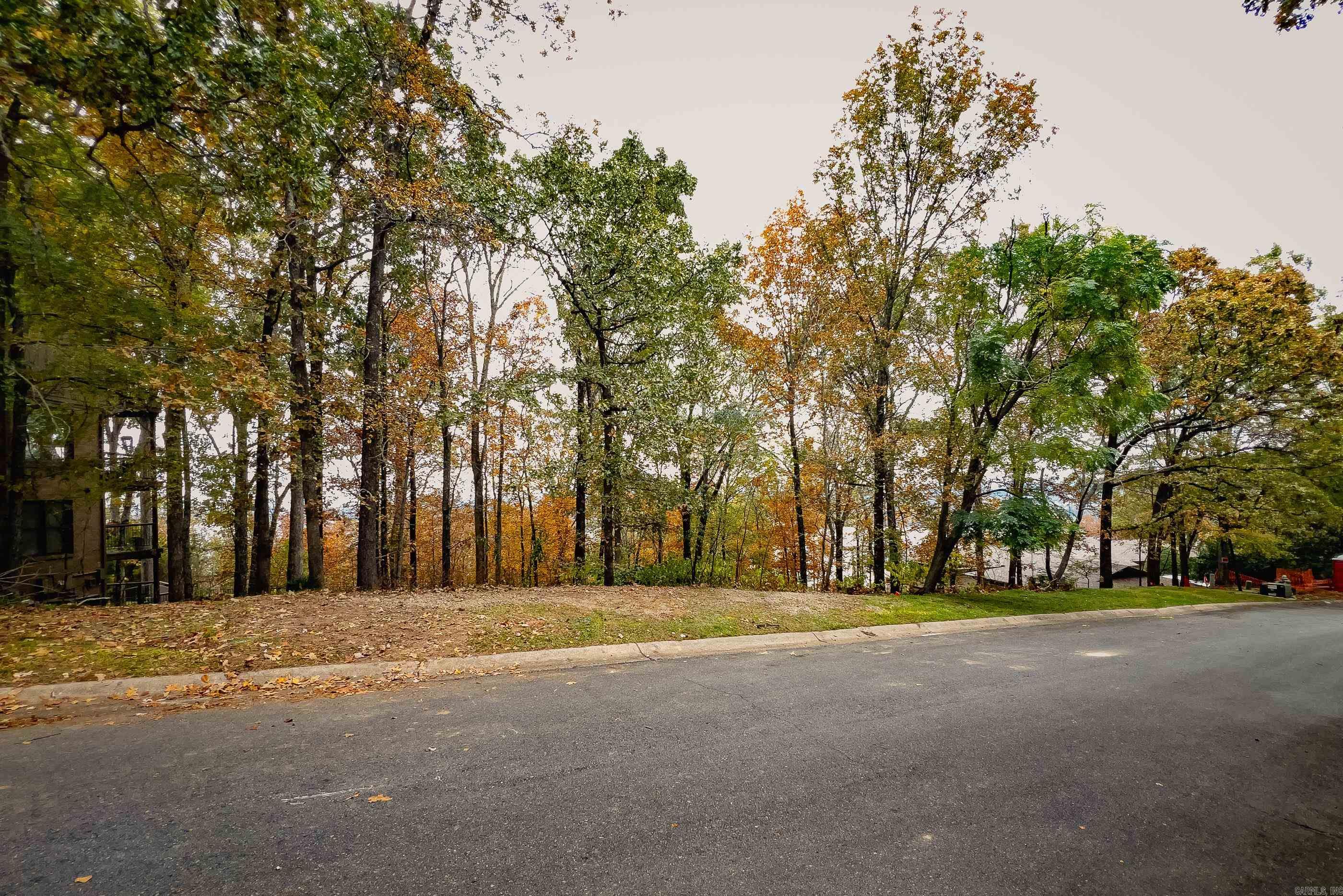 6 River View  Little Rock, AR